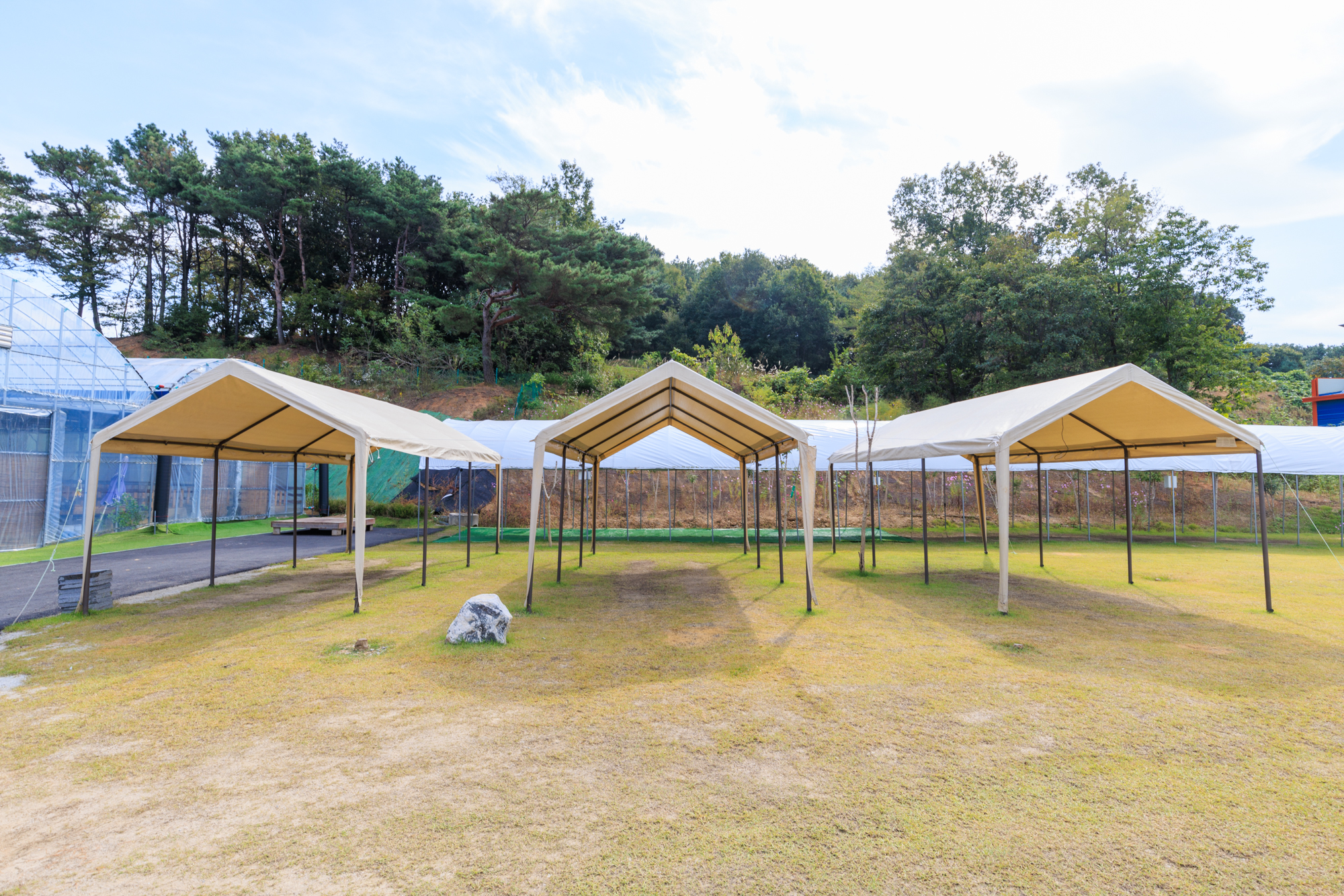 세제골농원 숲속야영장 이미지