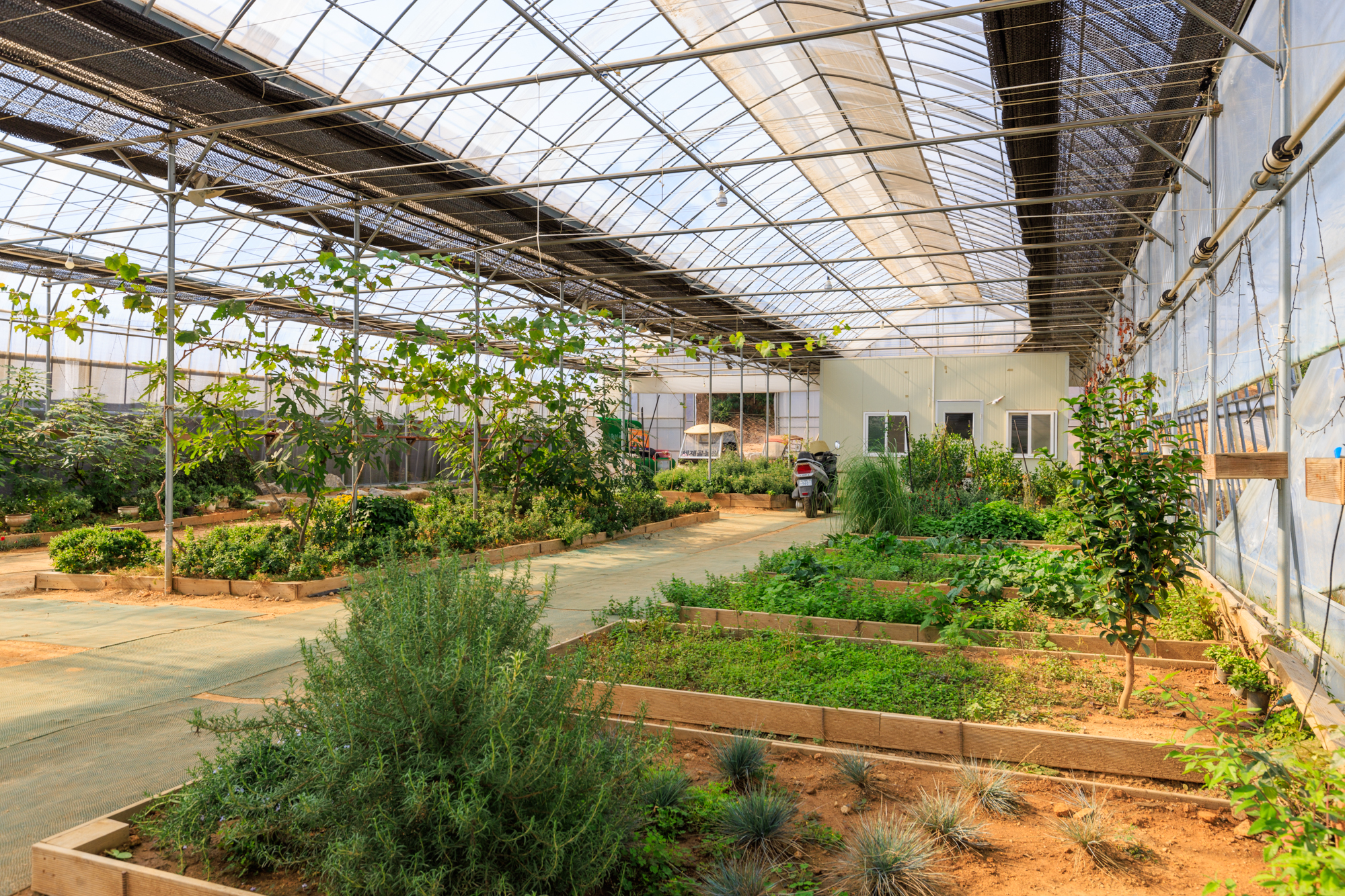 세제골농원 숲속야영장 이미지