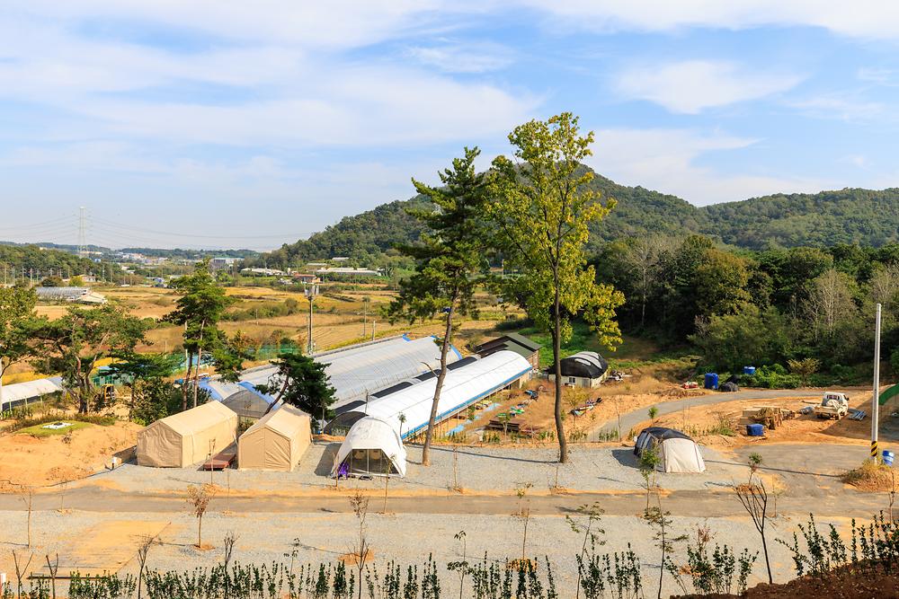 세제골농원 숲속야영장