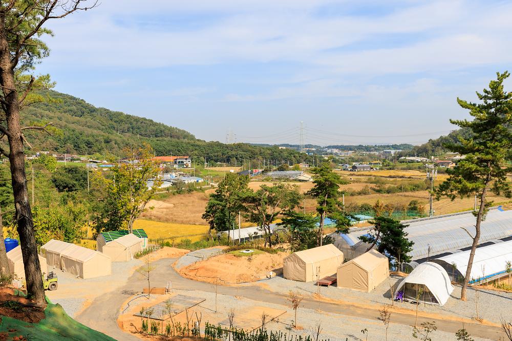 세제골농원 숲속야영장