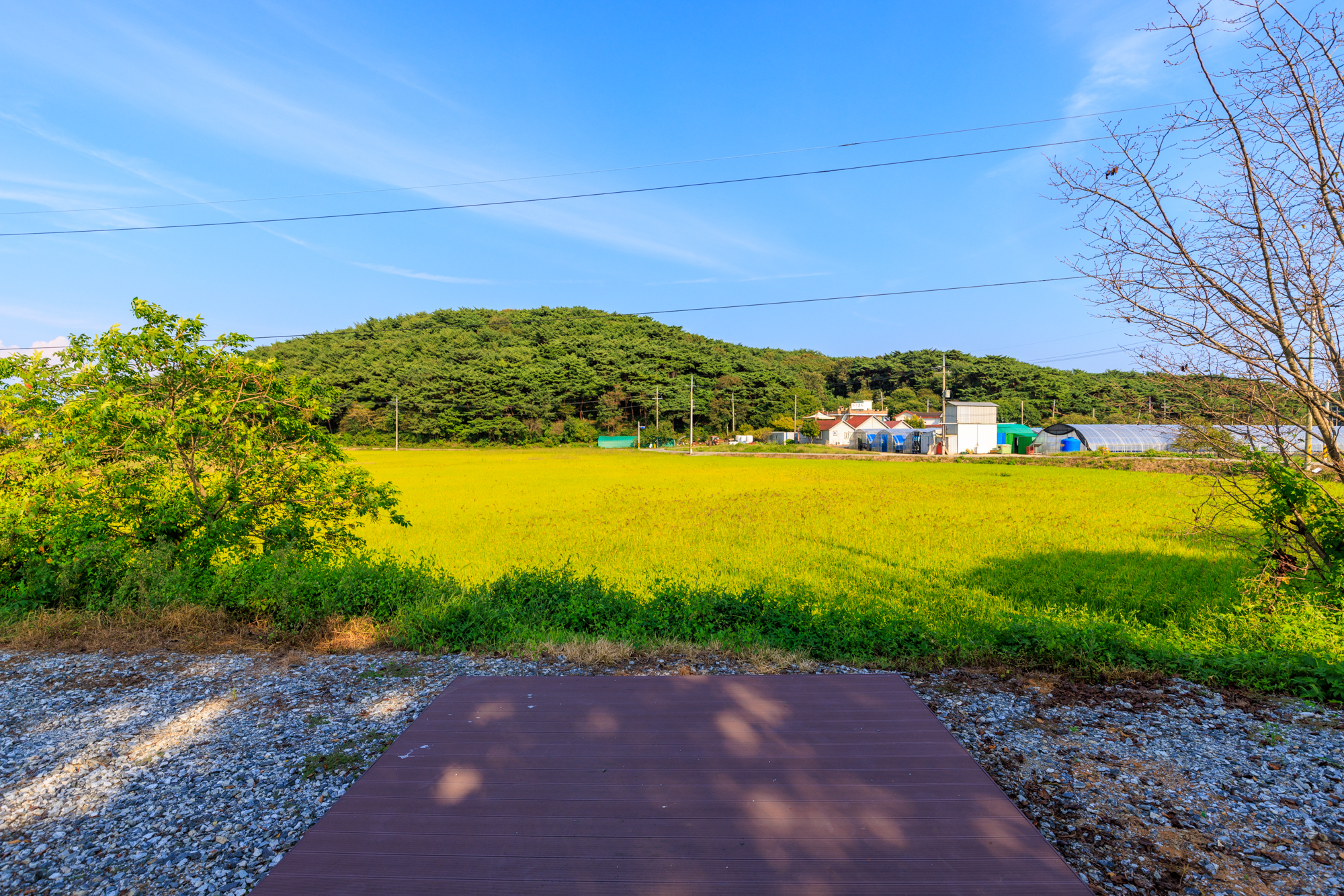 안면도힐링캠핑장 이미지