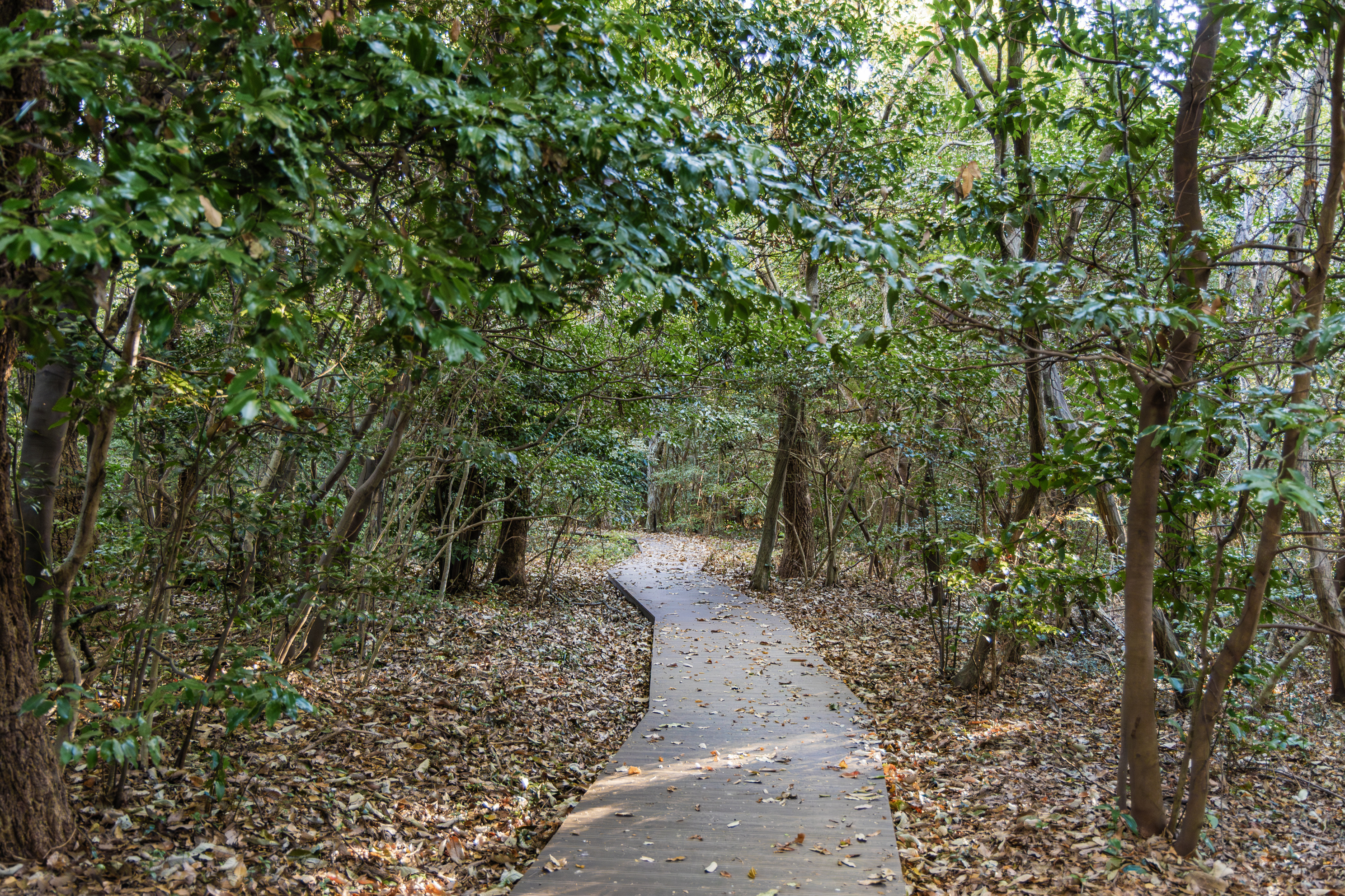 다도해해상국립공원 구계등야영장 43번째 이미지