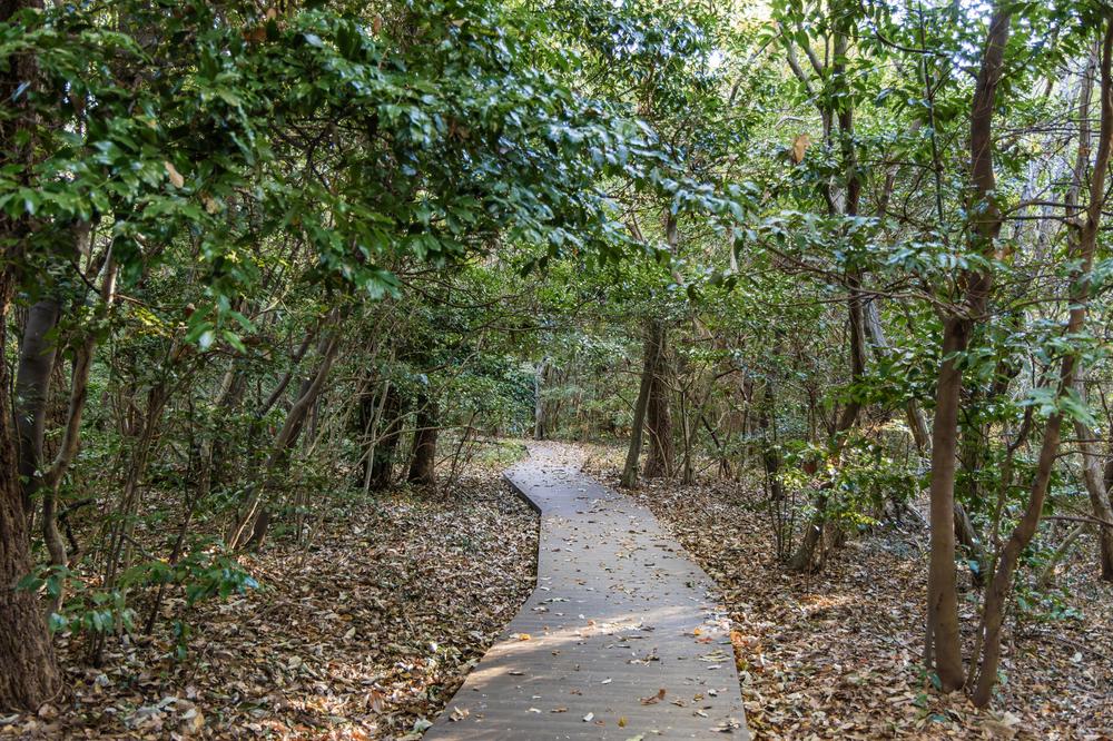다도해해상국립공원 구계등야영장