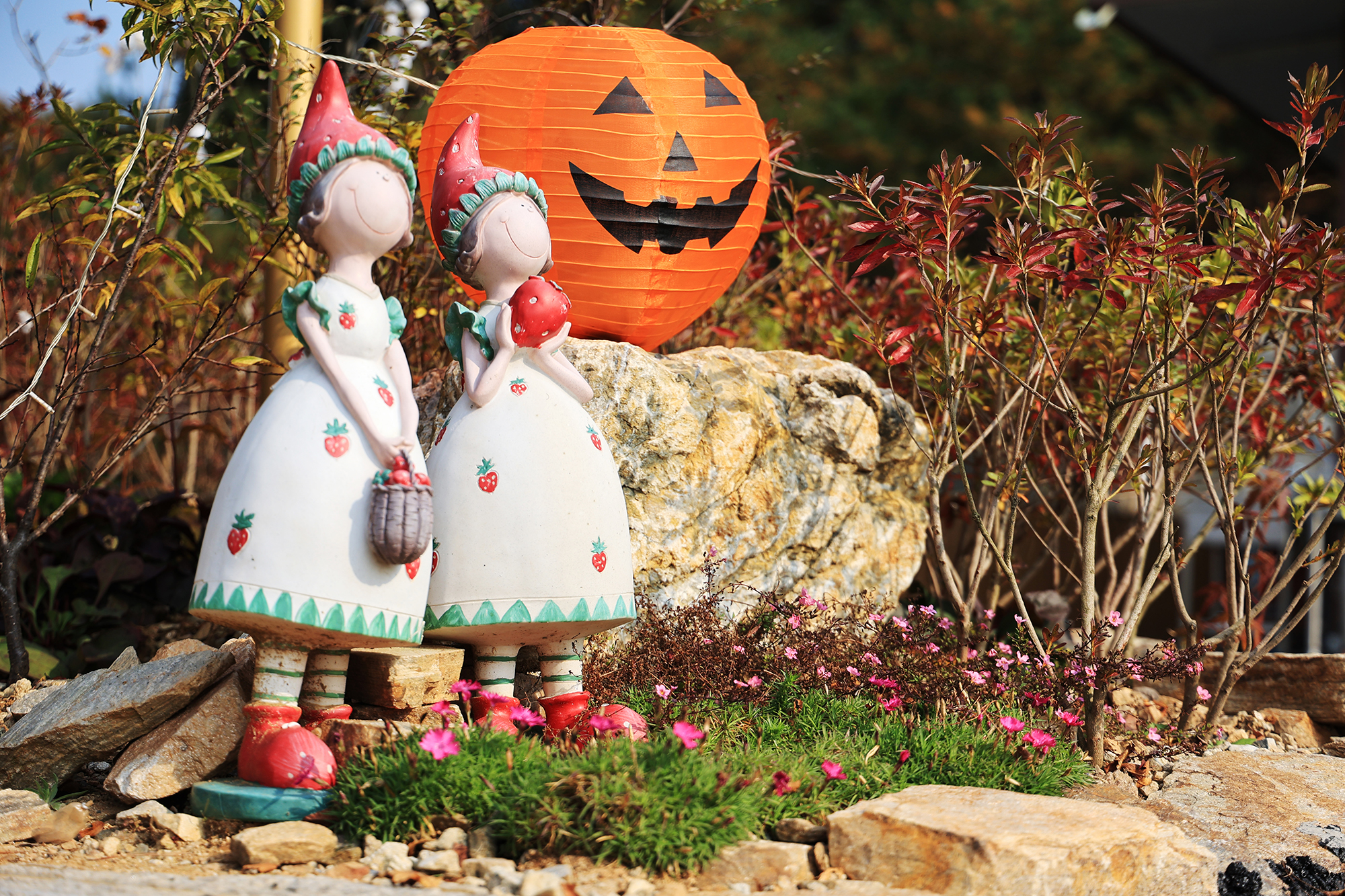 한솔 스테이 이미지