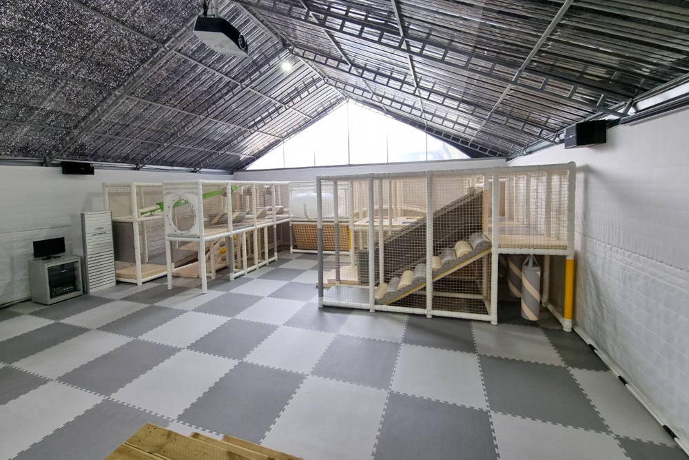 더 코지 캠핑장 이미지