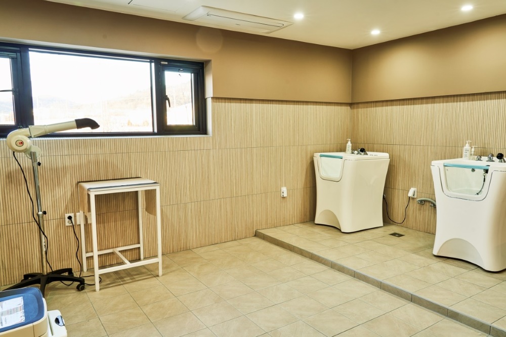 일랑일랑 애견캠핑 앤 카라반 이미지