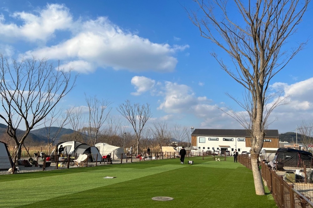 일랑일랑 애견캠핑 앤 카라반 이미지