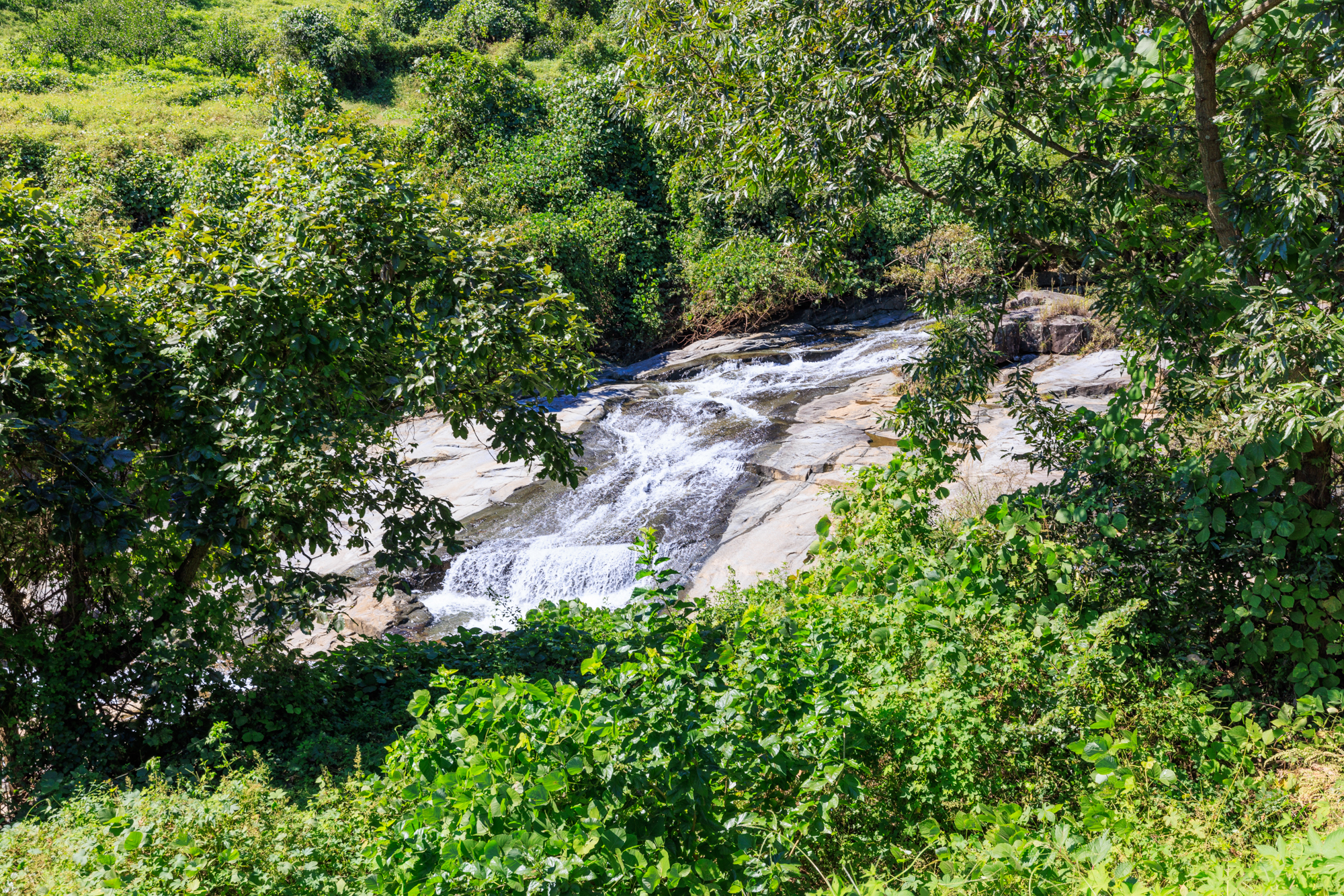 광양 해뜰 오토 캠핑장 이미지