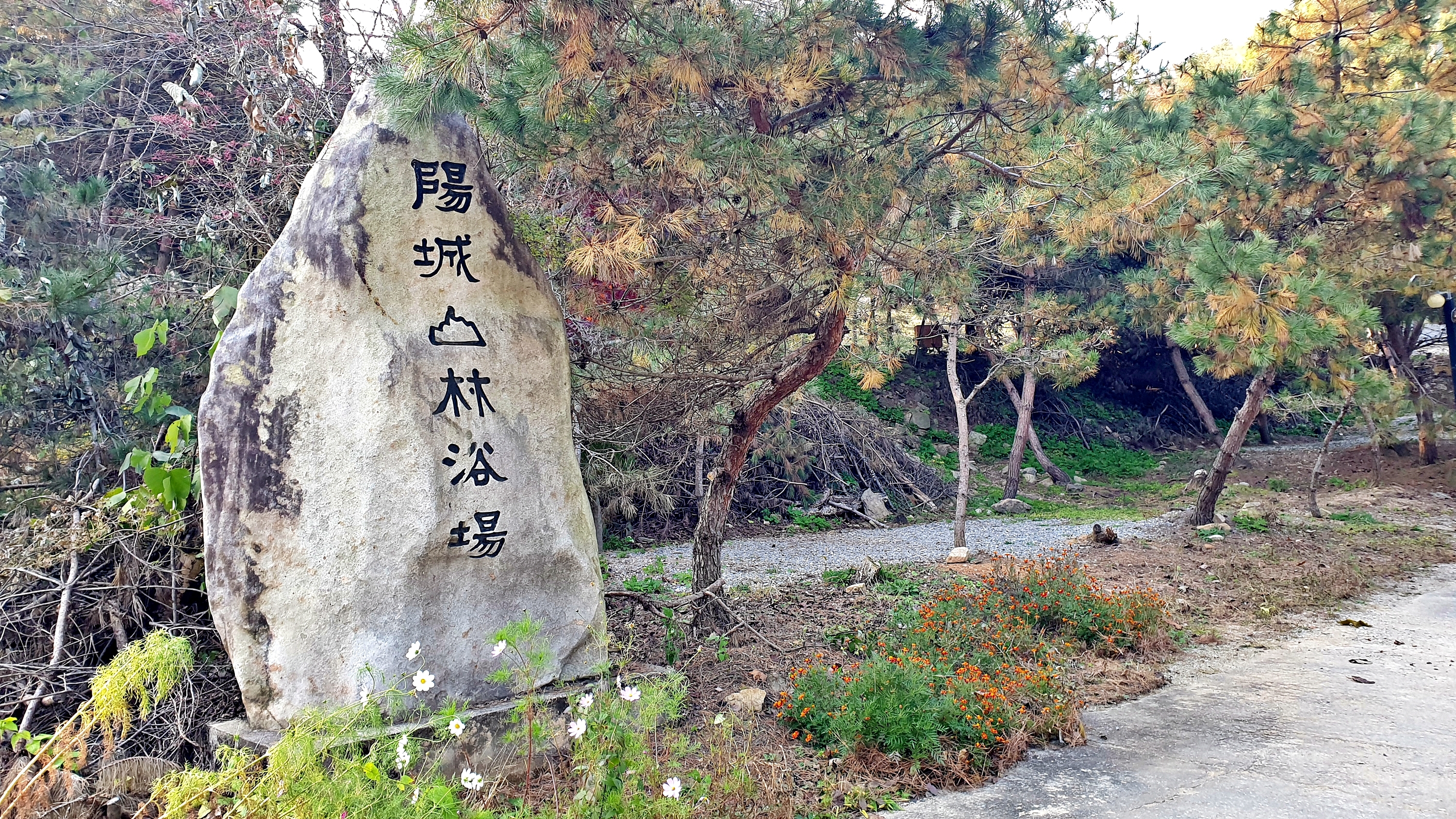 산우물 북 캠핑장 4번째 이미지