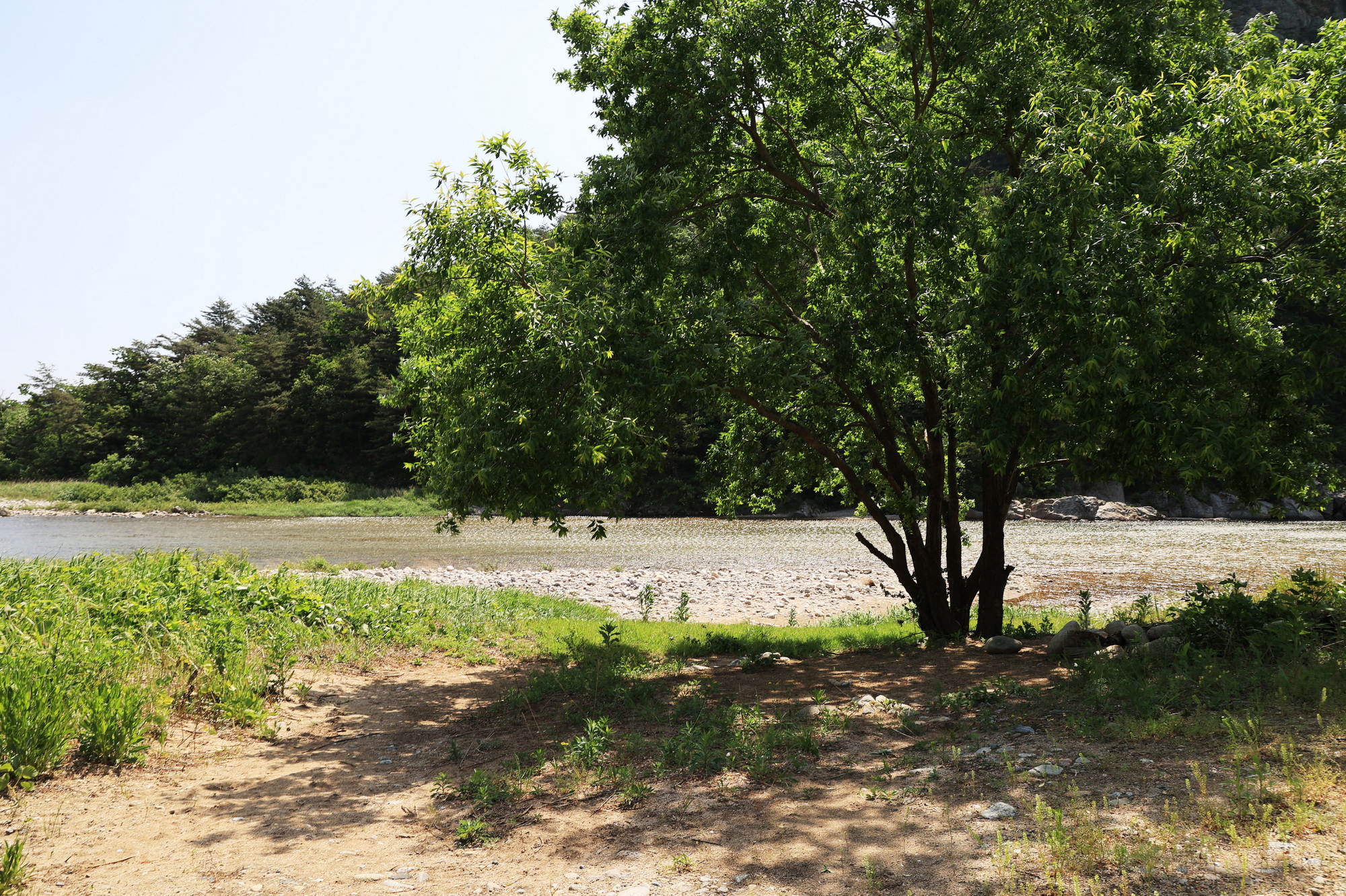 밴프 야영장 이미지