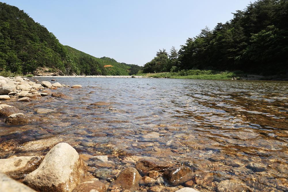 밴프 야영장 사진