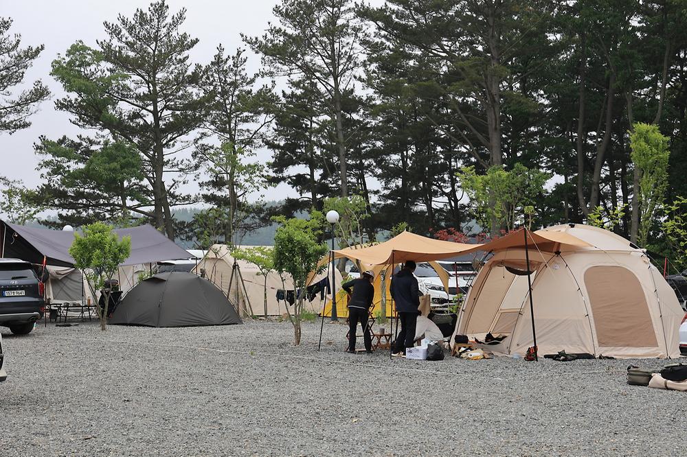 체로키캠핑장 (Cherokeycamp)