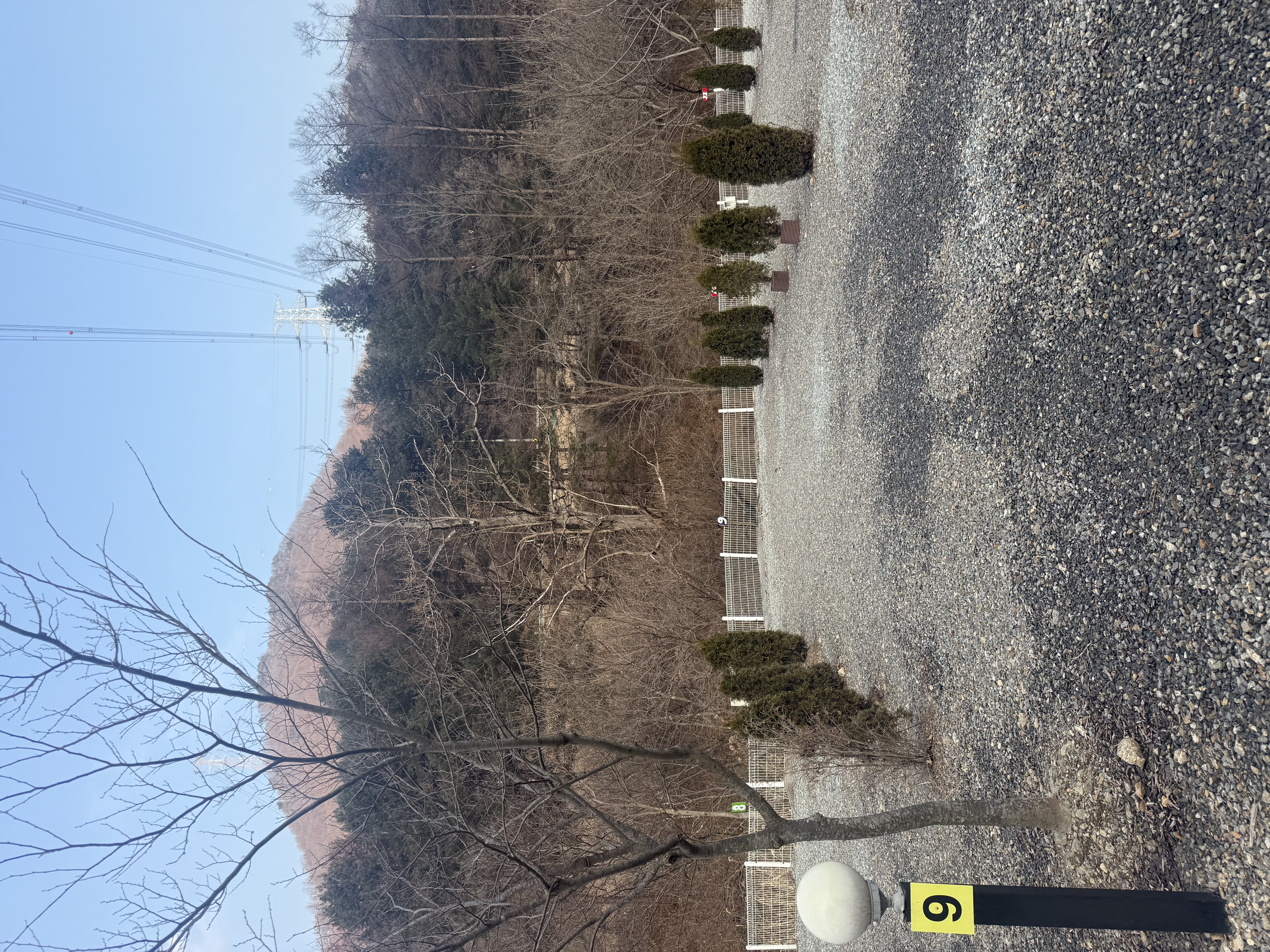 포레스트 캠핑장 4번째 이미지