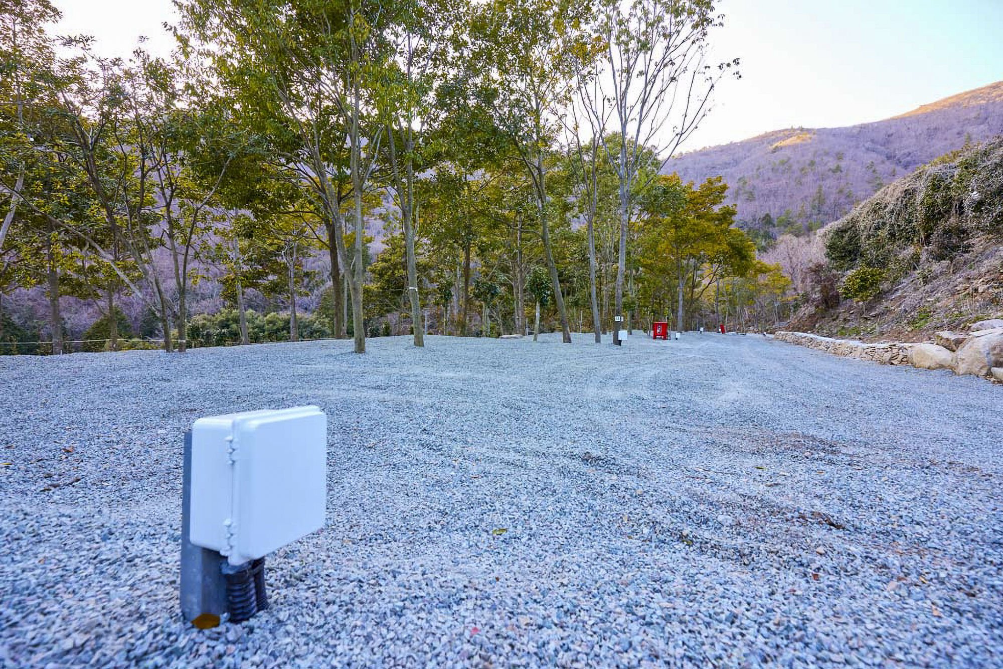 진도 카멜리아 힐즈 오토캠핑장 이미지