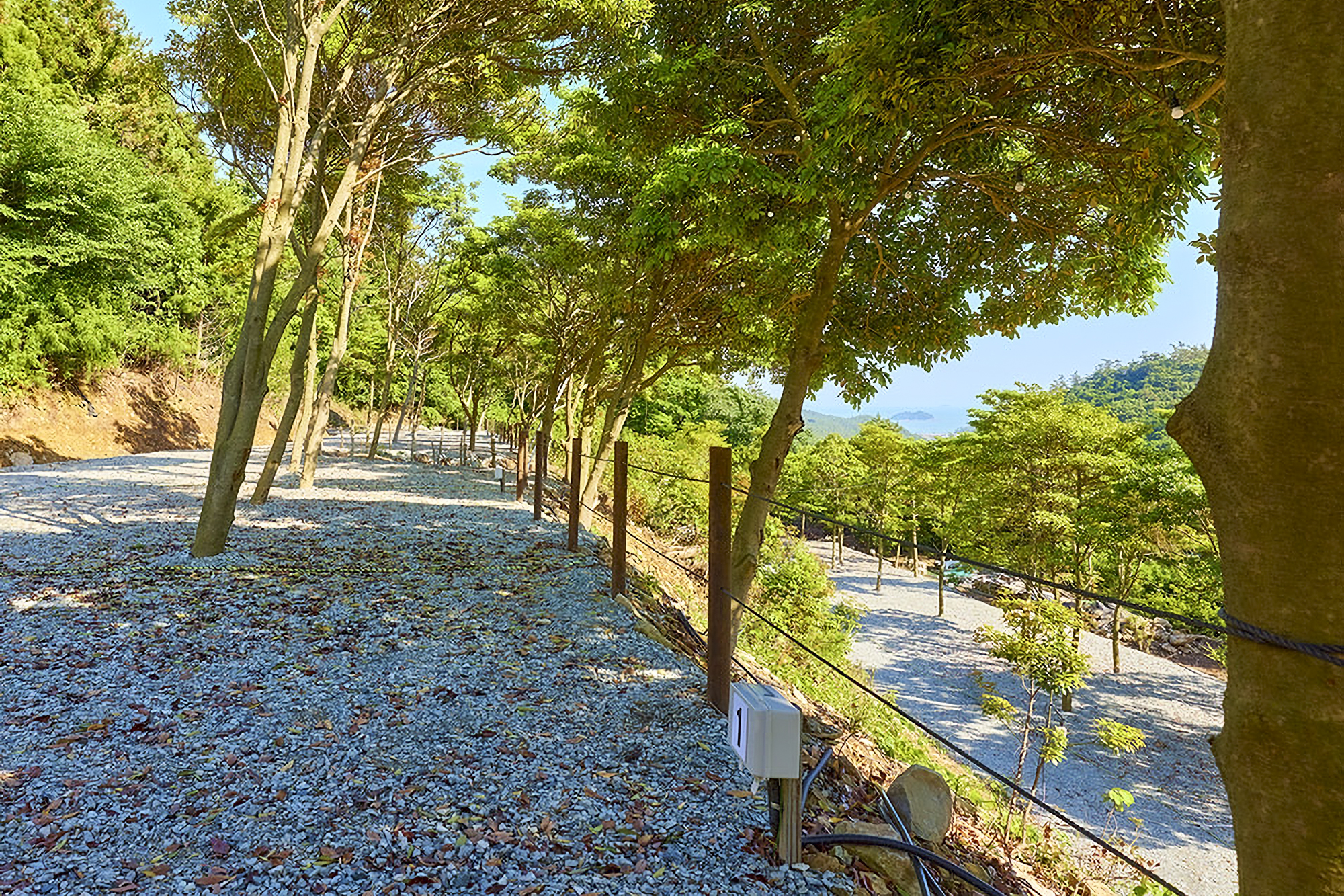 진도 카멜리아 힐즈 오토캠핑장 9