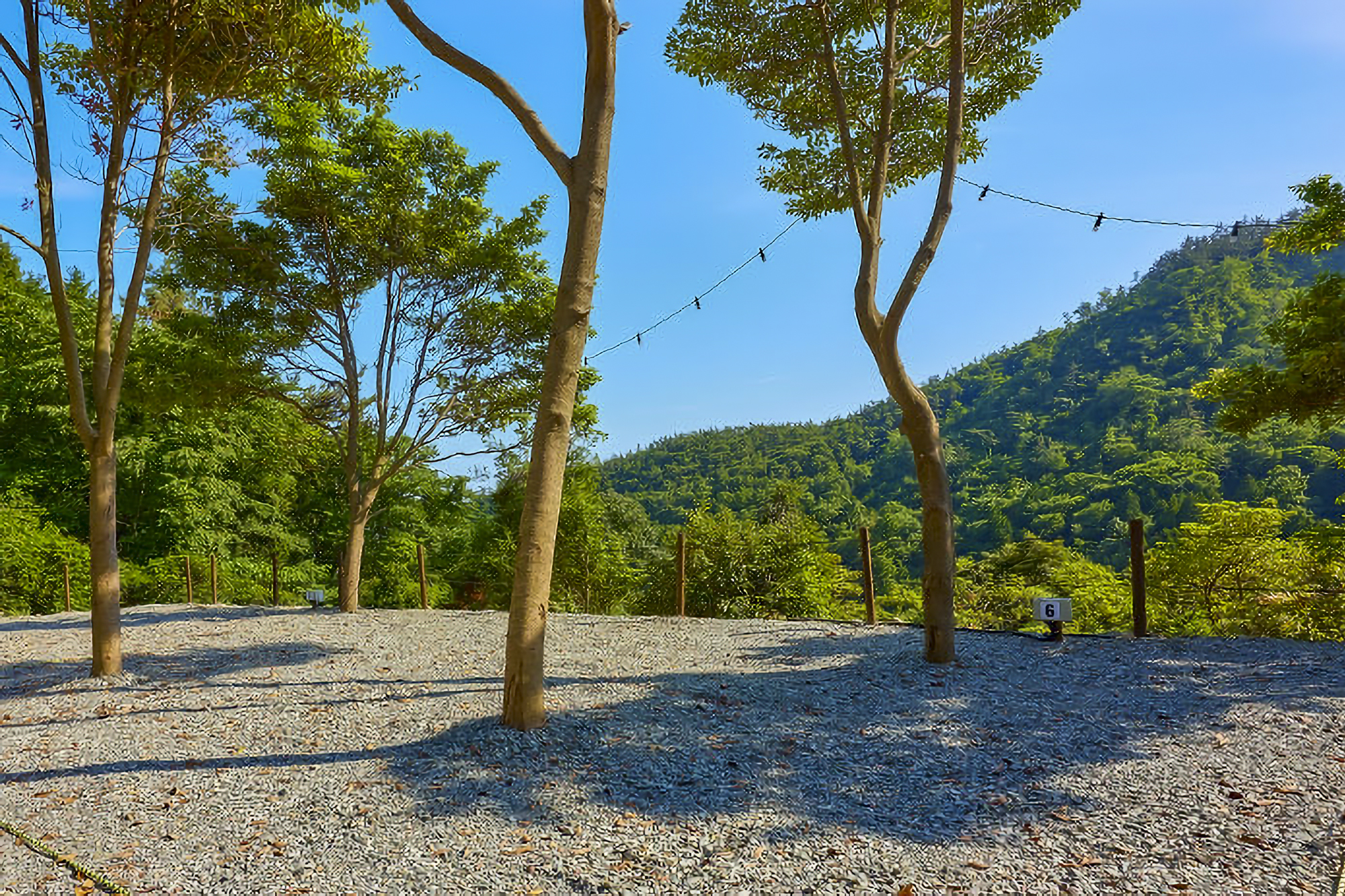 진도 카멜리아 힐즈 오토캠핑장 이미지