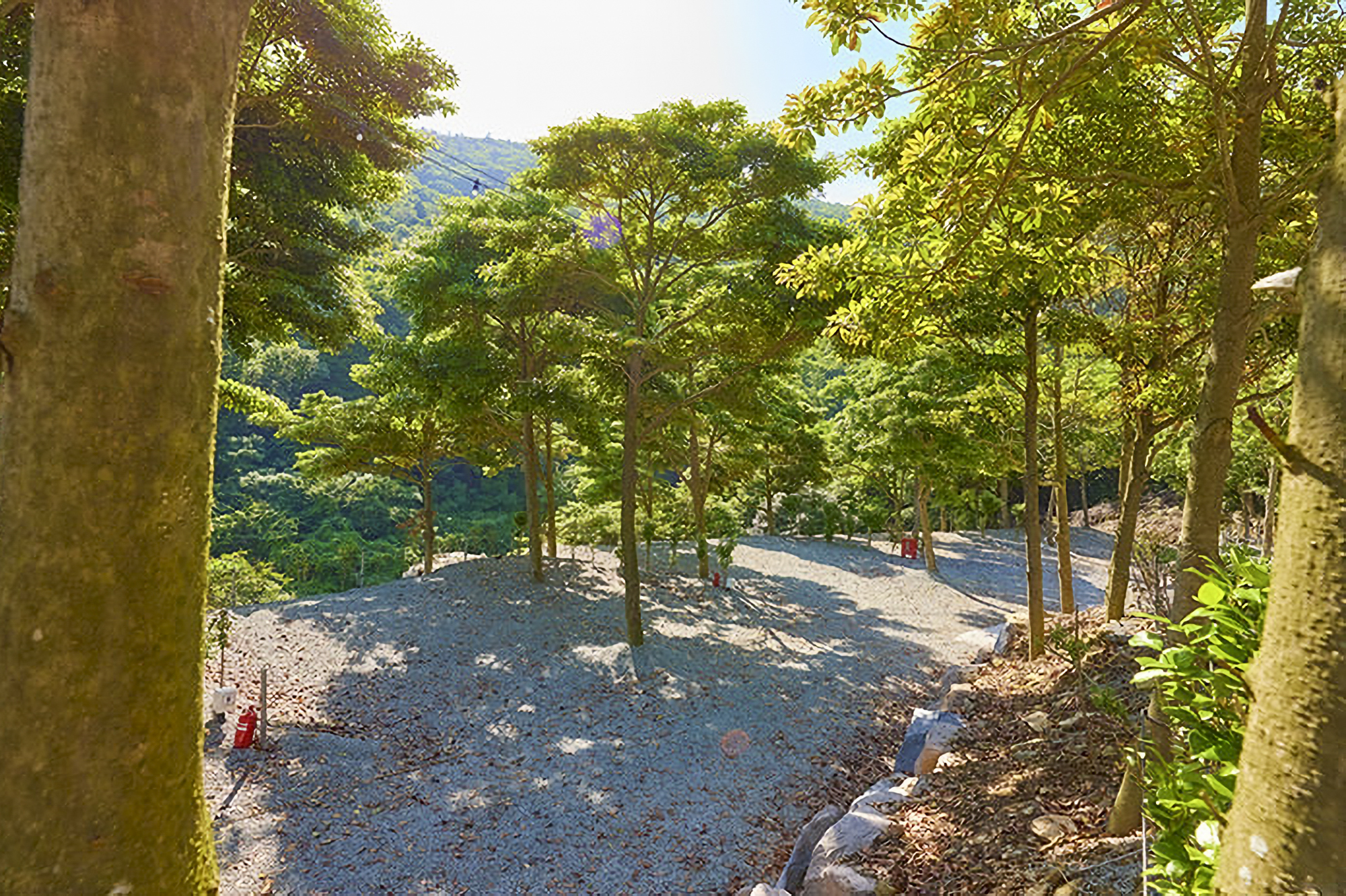 진도 카멜리아 힐즈 오토캠핑장 이미지