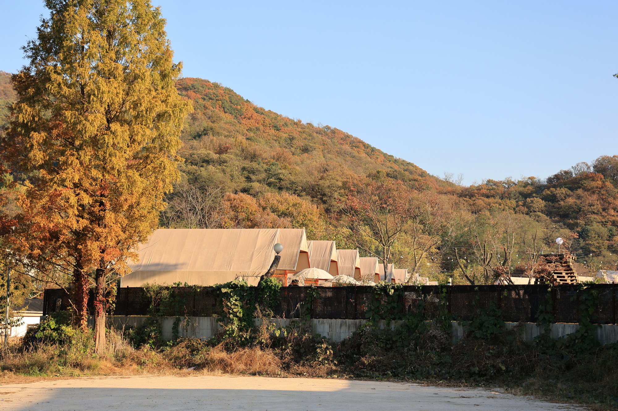 서초바글(바베큐글램핑) 이미지