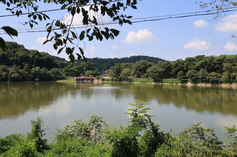 청춘별곡