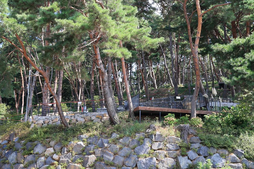 청춘별곡