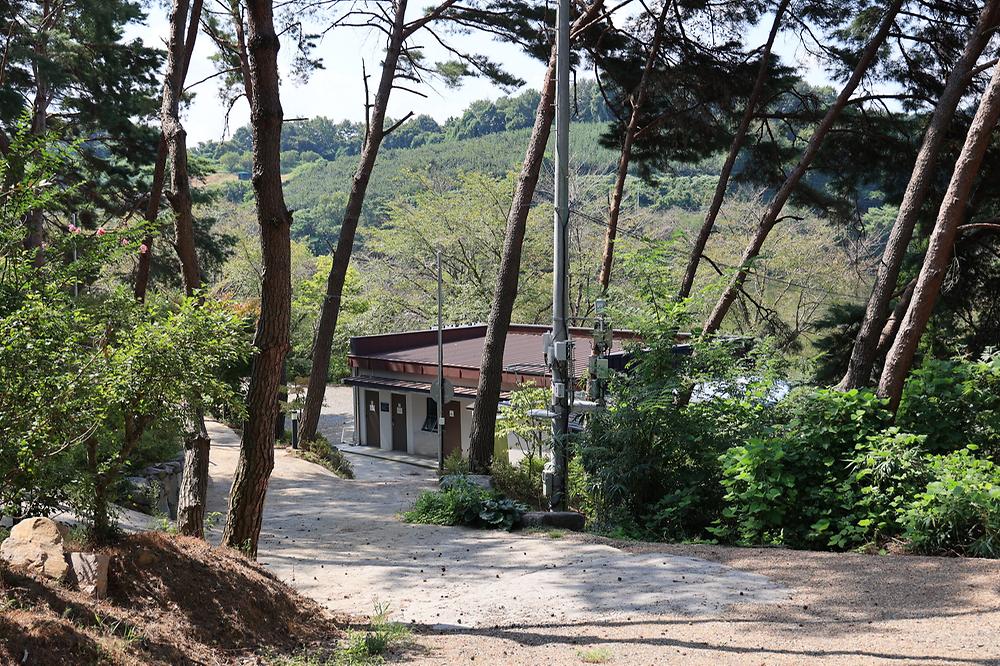 청춘별곡