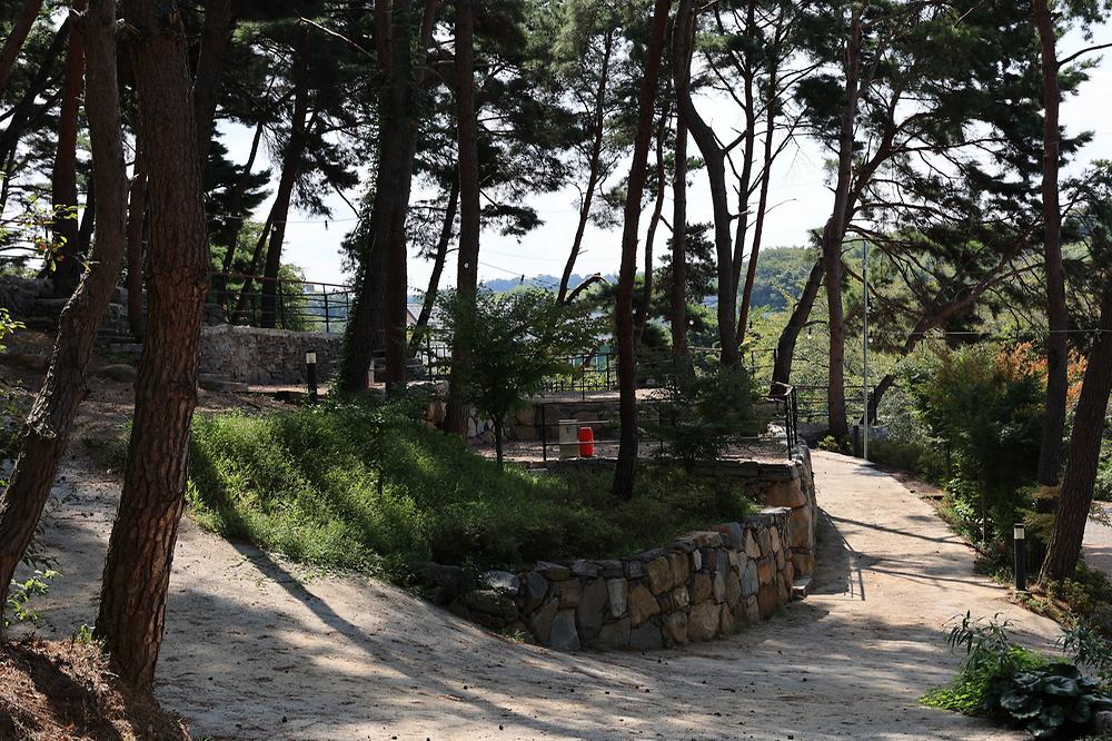 청춘별곡