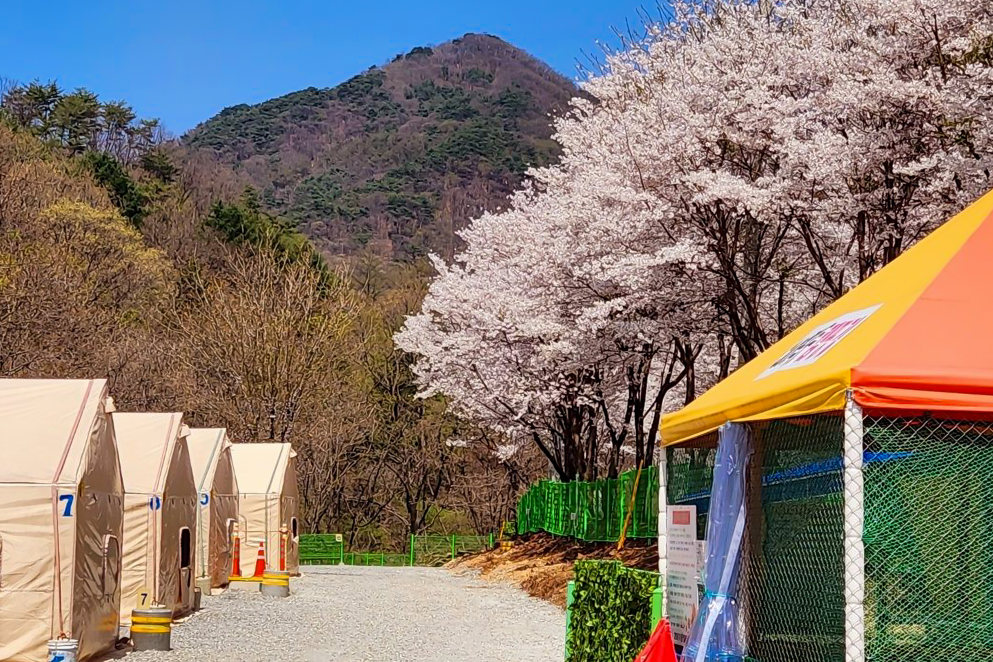 208덕동 캠핑장 이미지