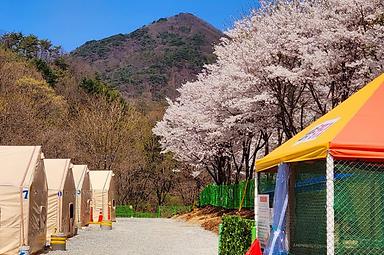 208덕동 캠핑장 사진