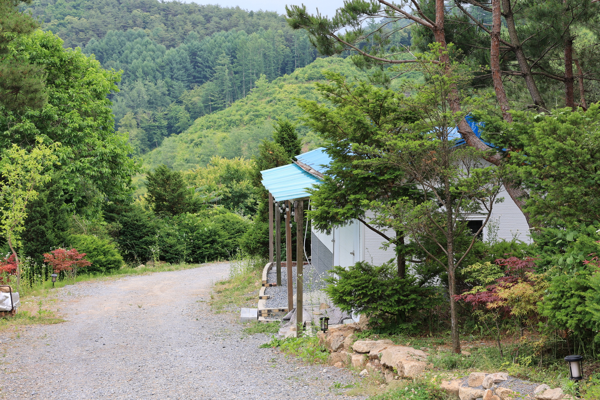 힐링인더 포레스트 11번째 이미지