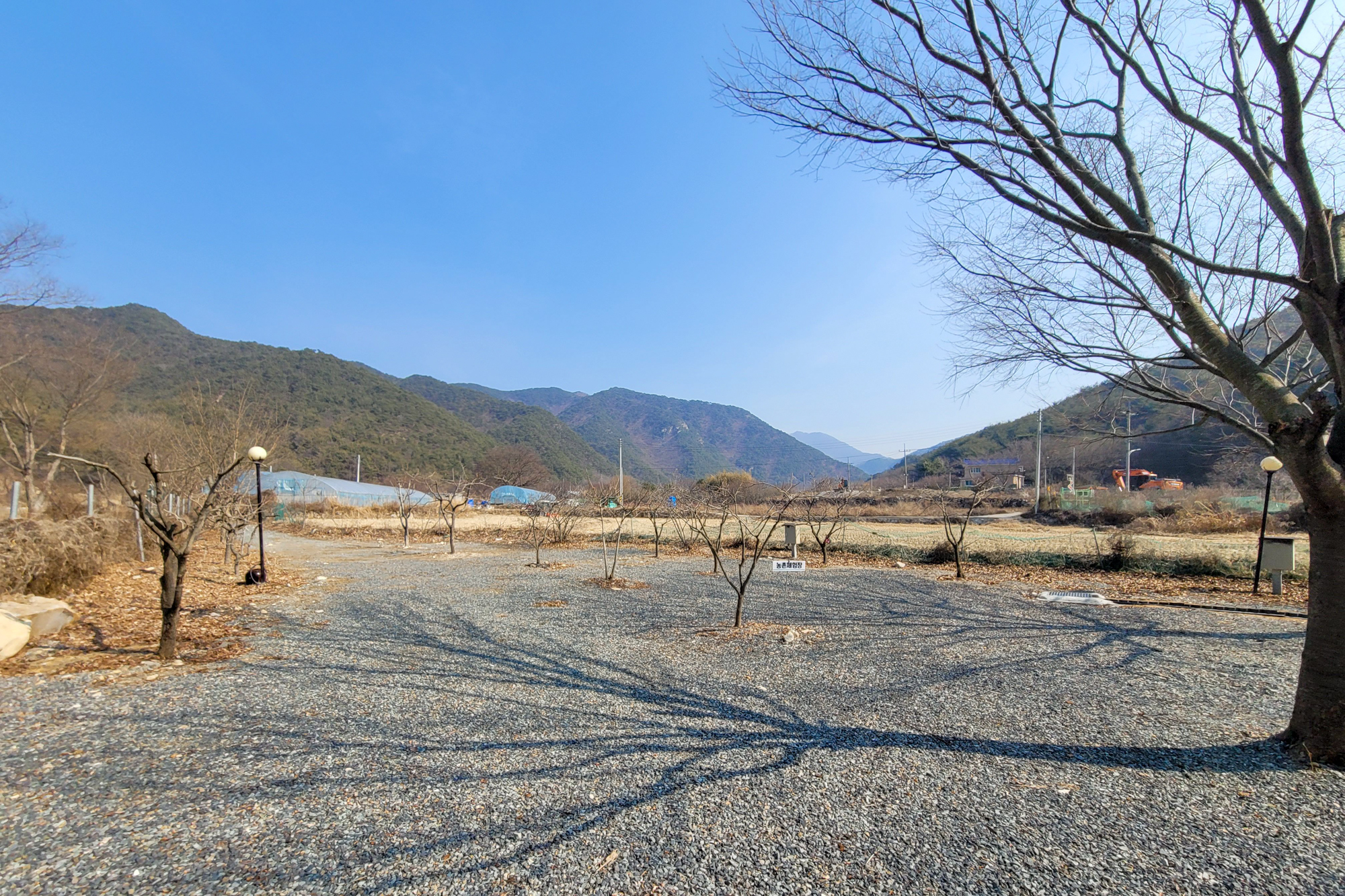 청도 늘푸른캠핑장 7