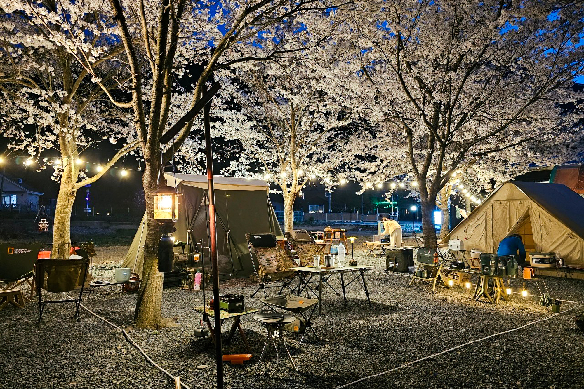 청도 늘푸른캠핑장 3