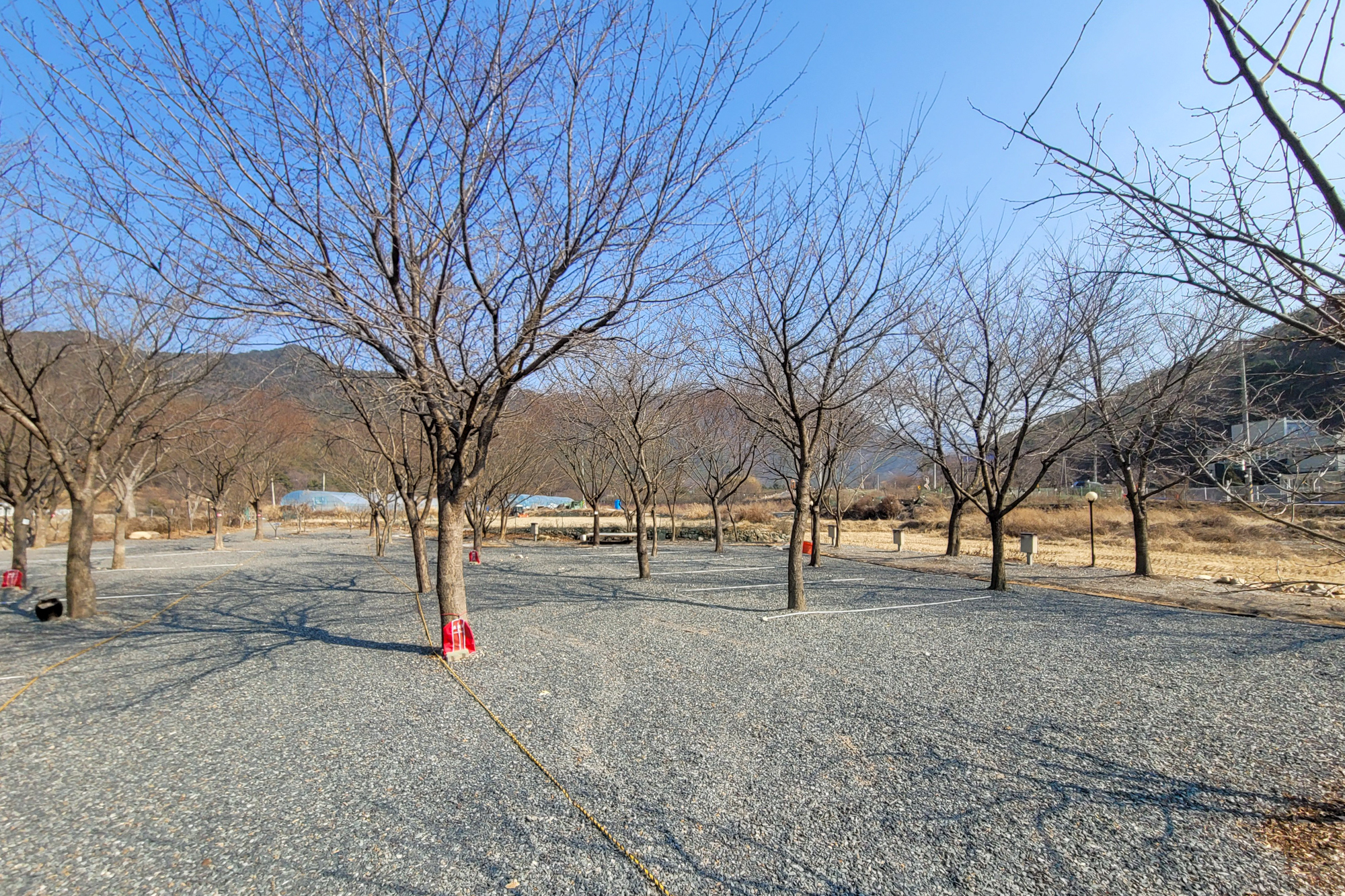 청도 늘푸른캠핑장 11