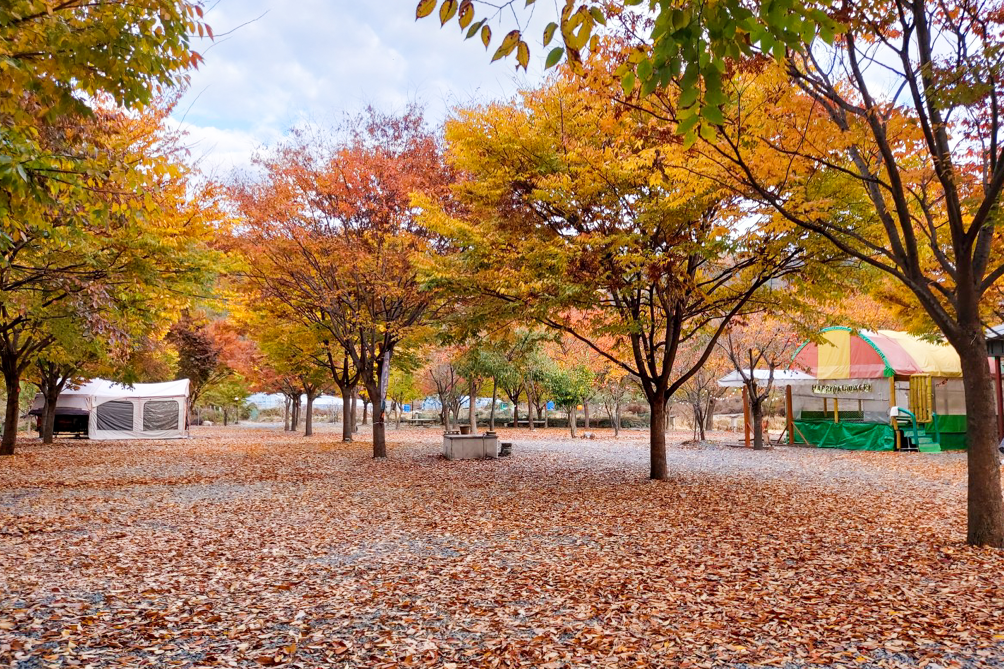 늘푸른캠핑장 이미지