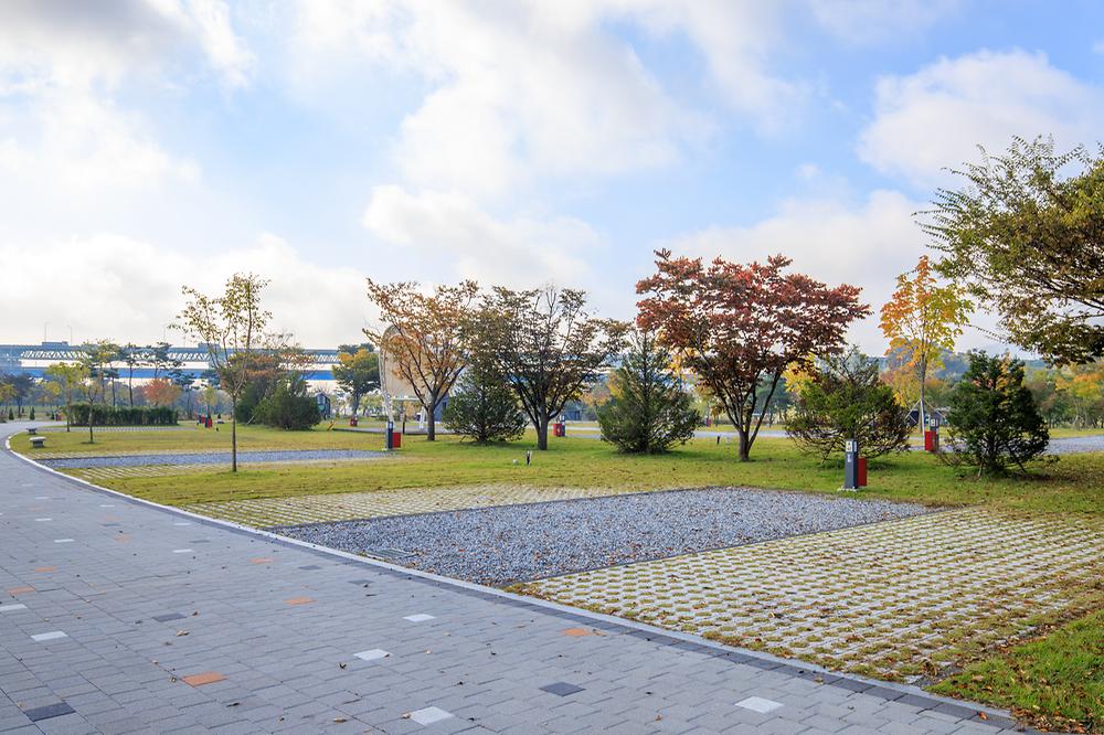 충주 목계솔밭 캠핑장