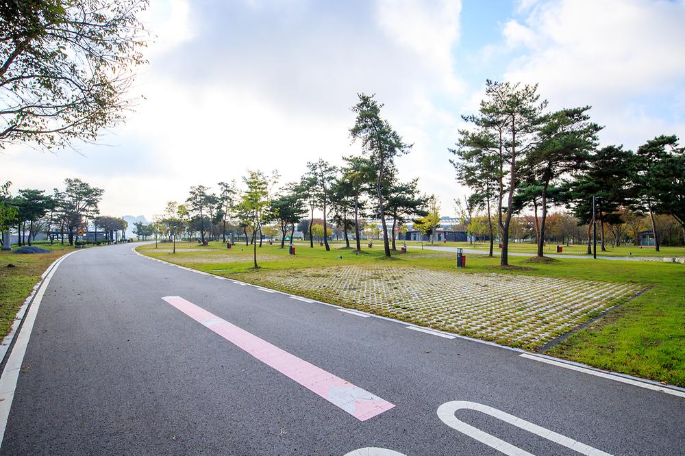 충주 목계솔밭 캠핑장