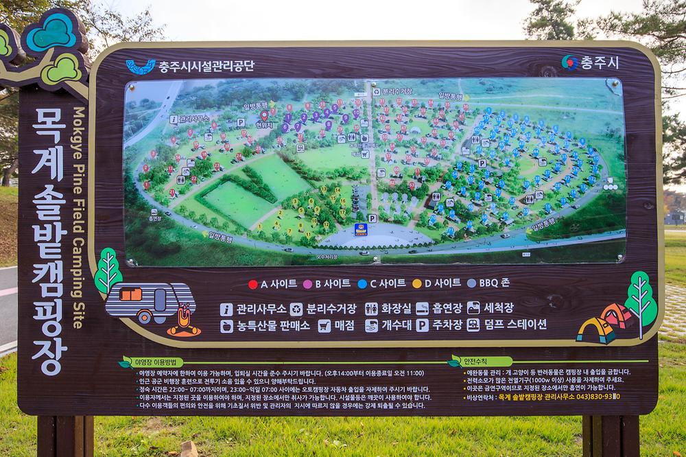 충주 목계솔밭 캠핑장