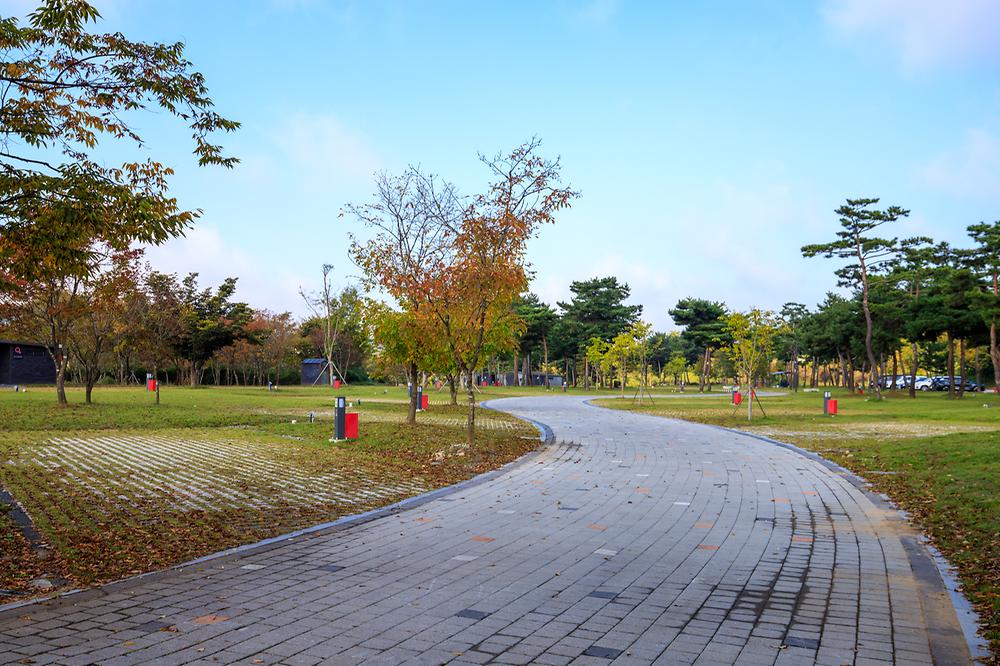 충주 목계솔밭 캠핑장