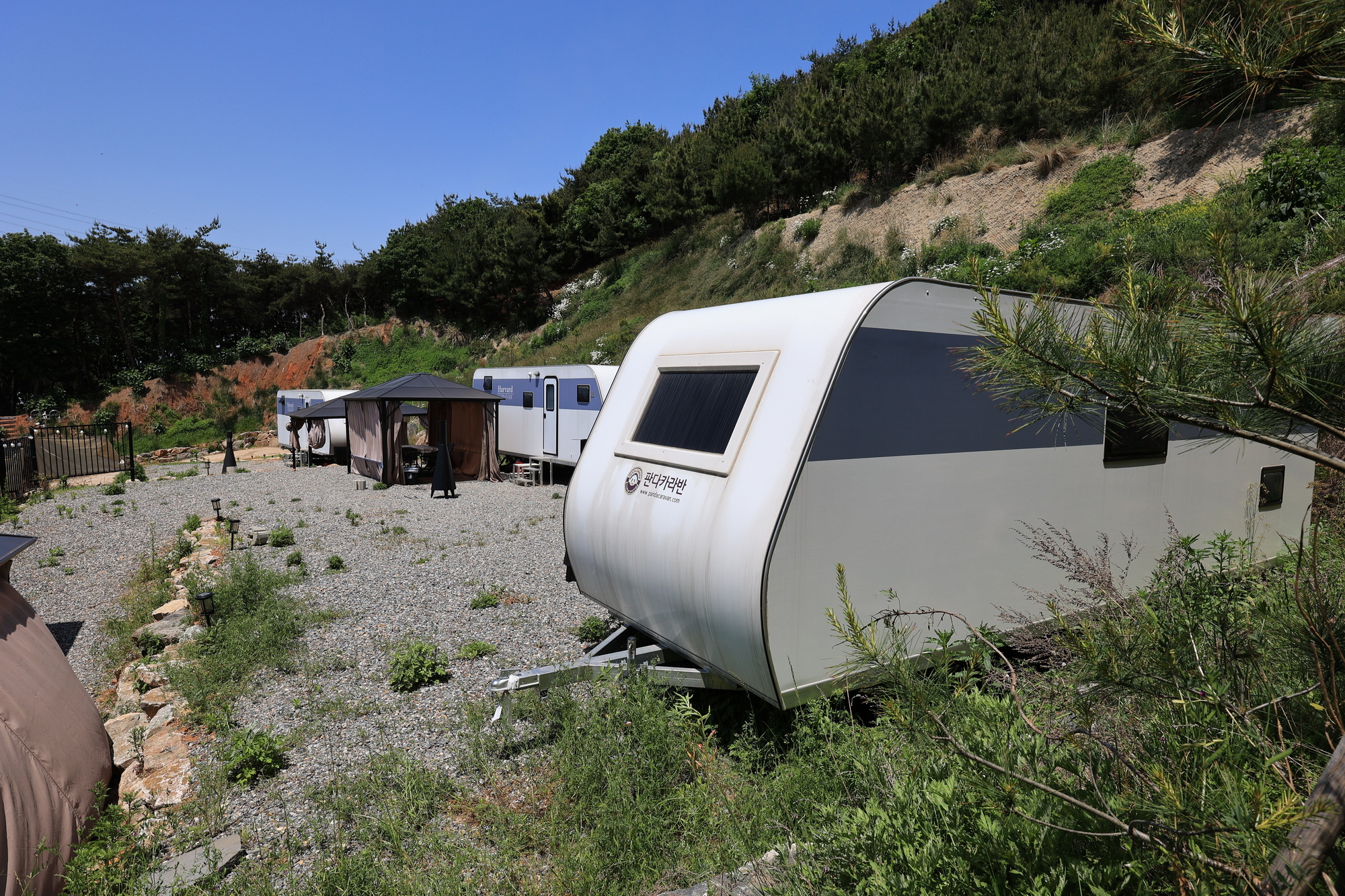 하버드카라반 이미지