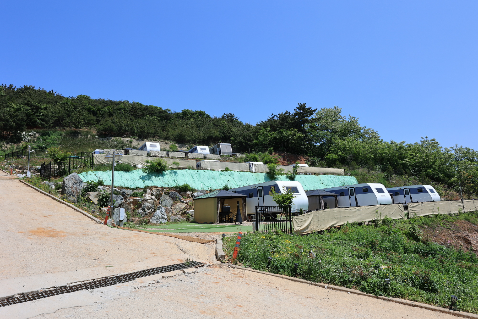 하버드카라반 이미지