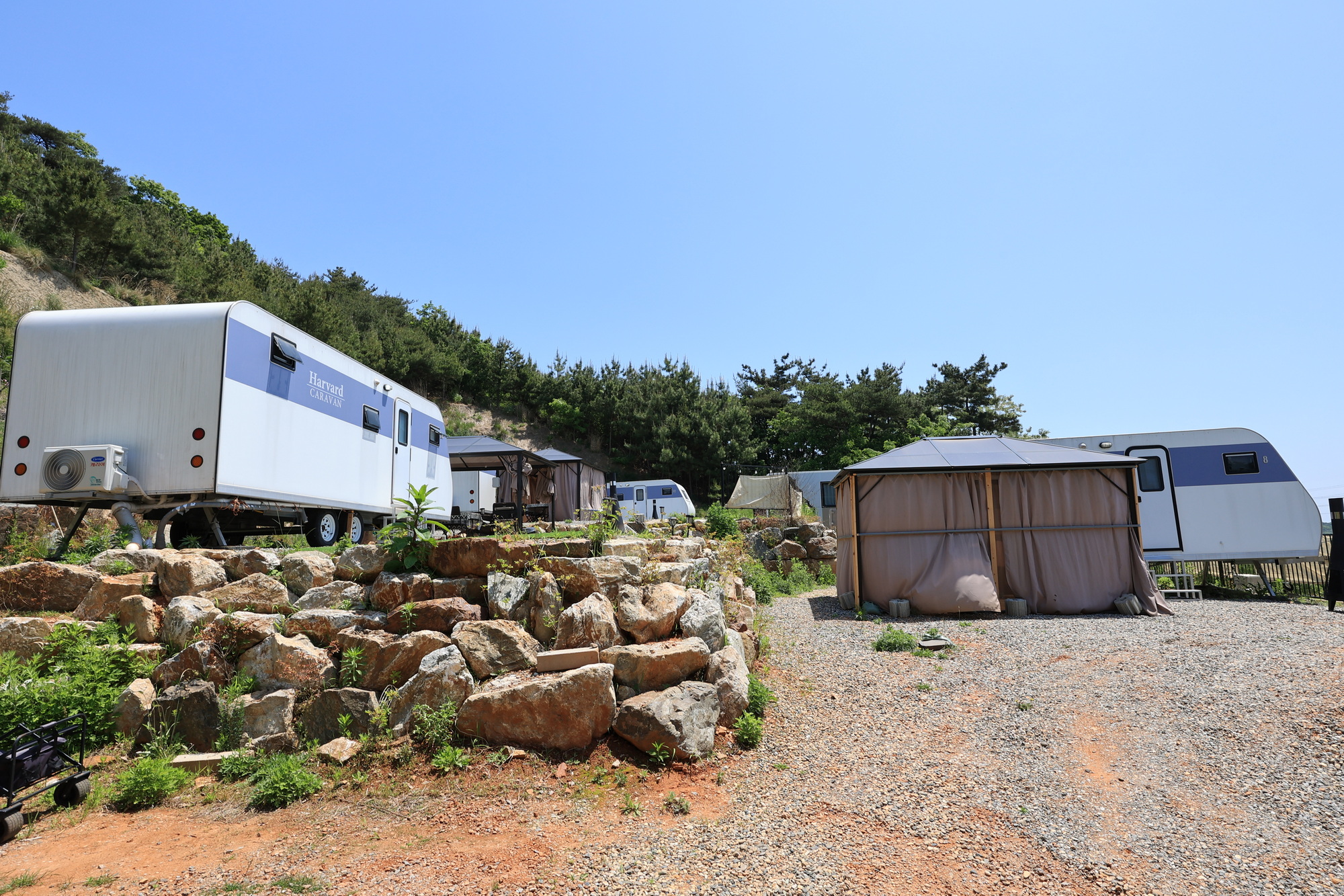 하버드카라반 이미지