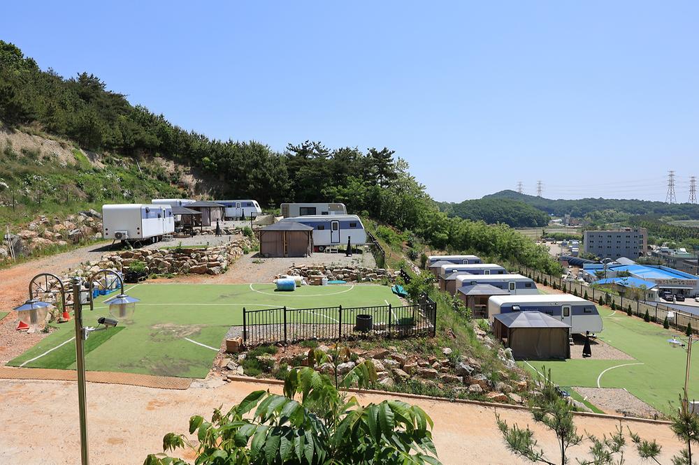 하버드카라반