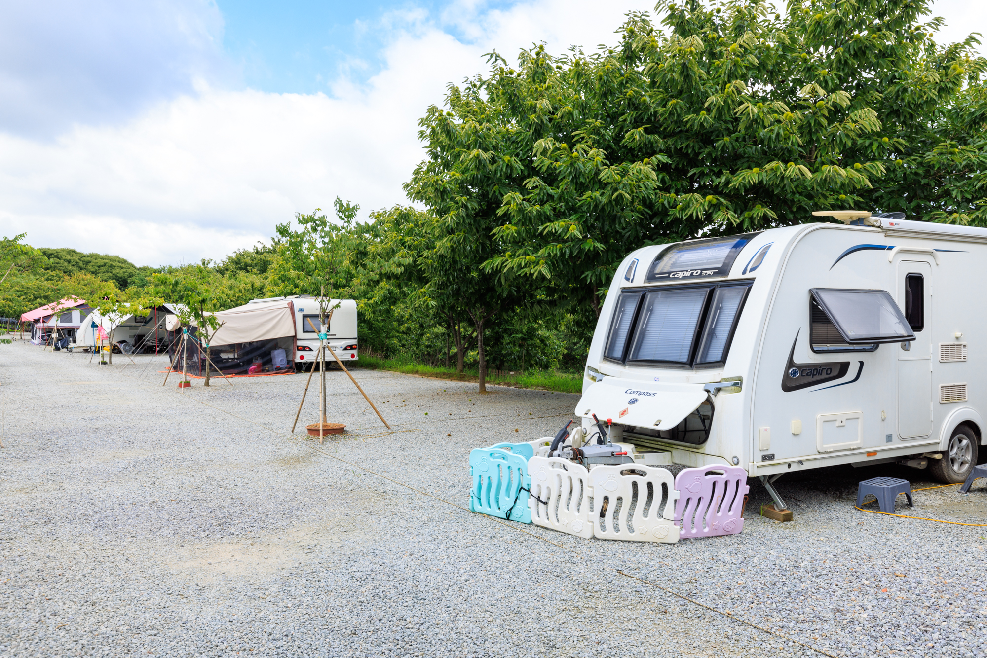 트리팜 관광농원 이미지