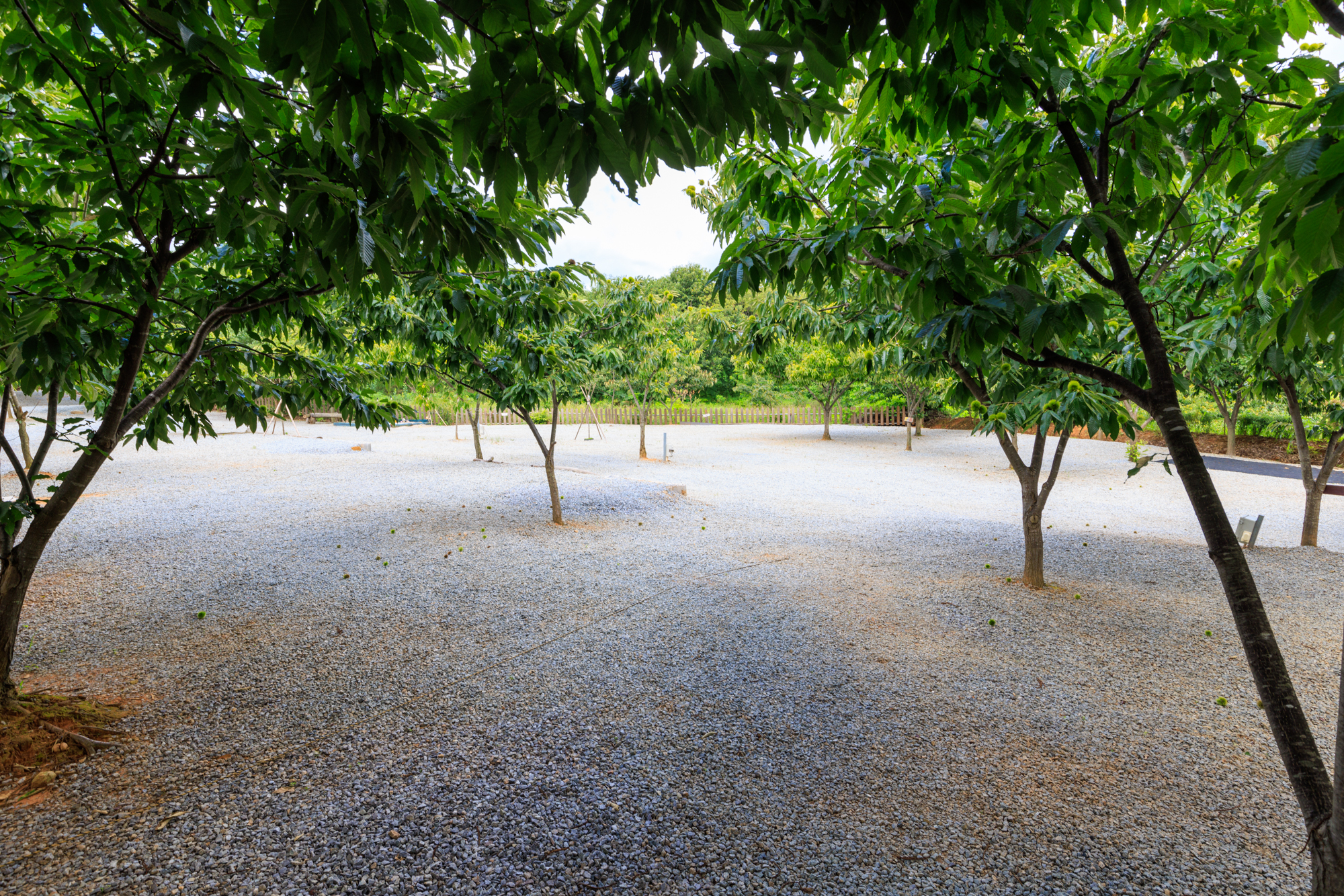 트리팜 관광농원 이미지