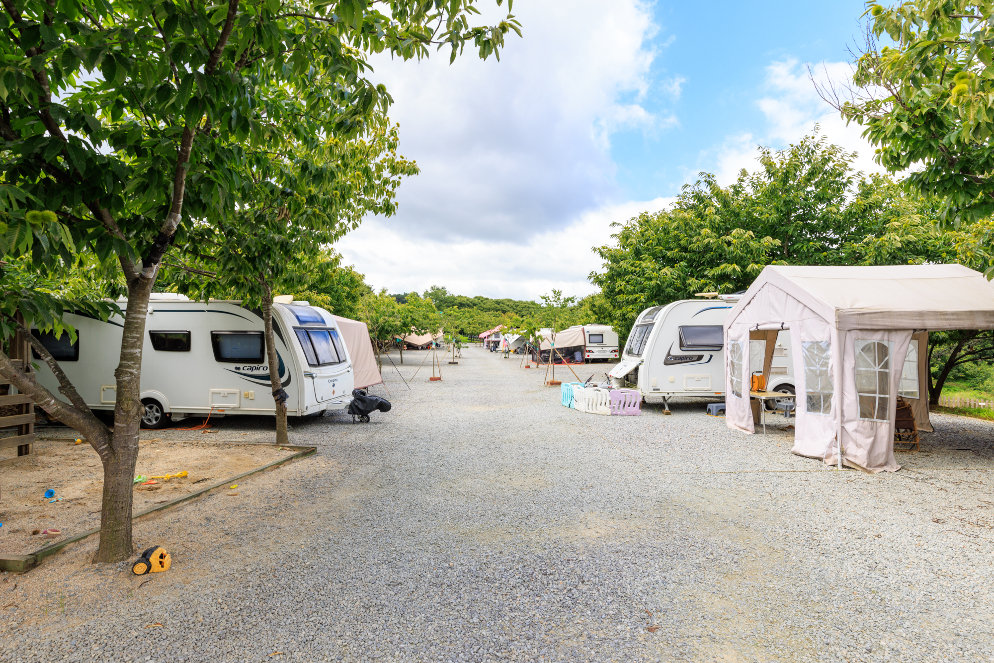 트리팜 관광농원 이미지