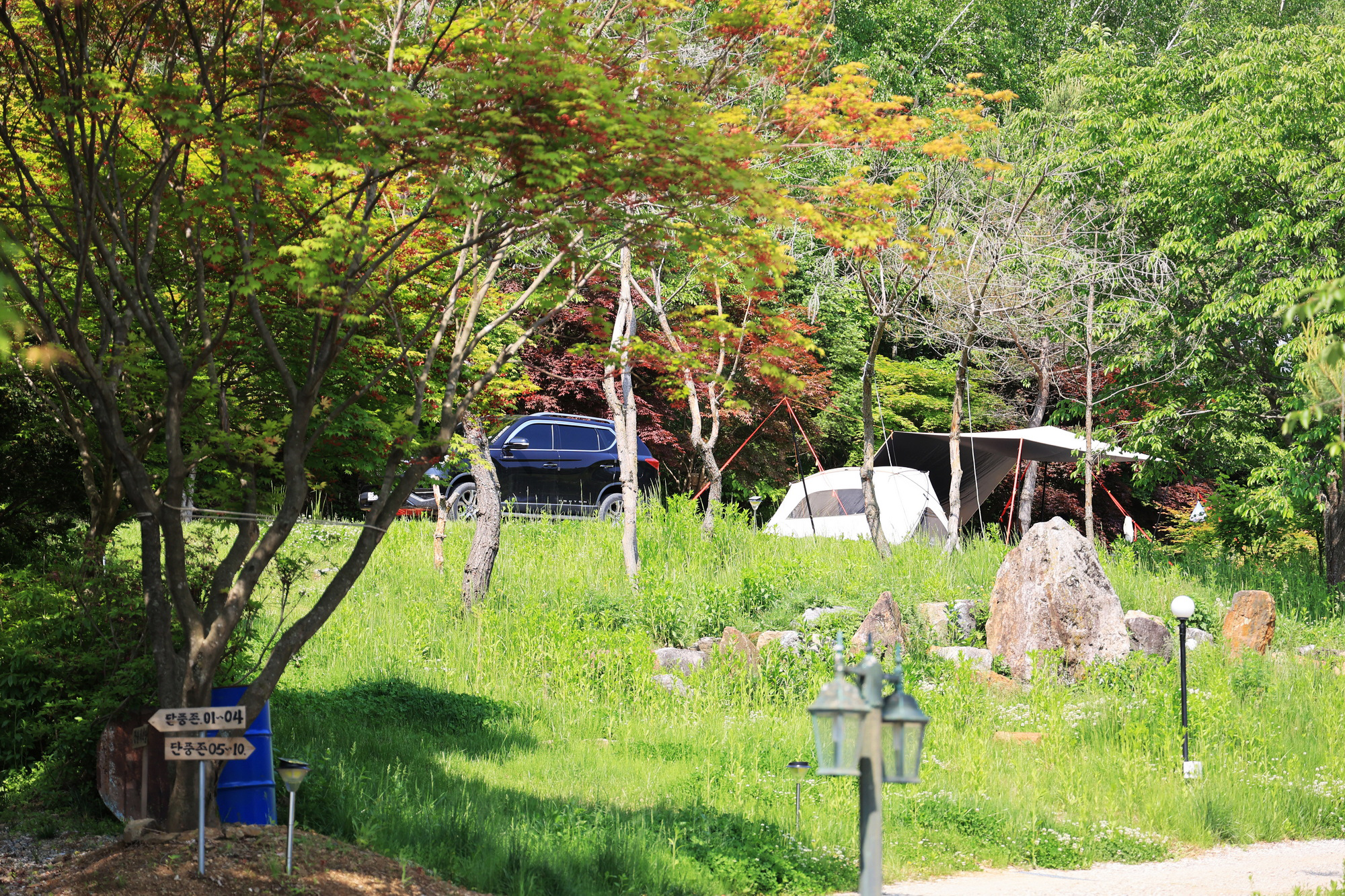 숲에서 놀자 이미지