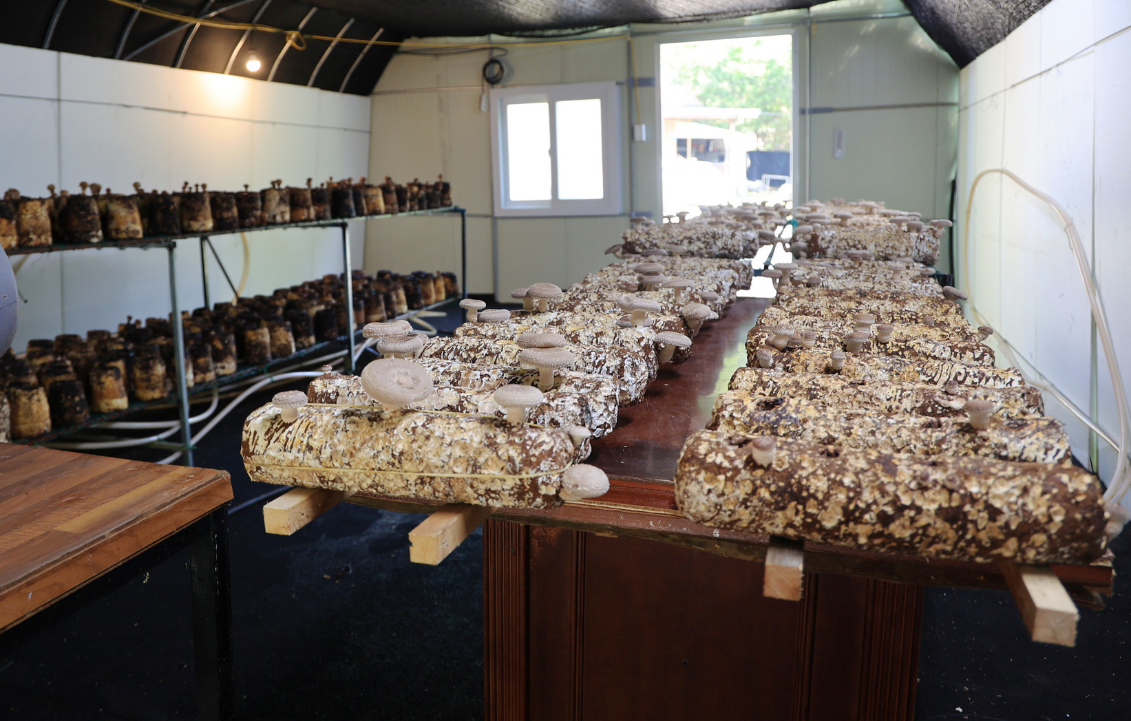 숲에서 놀자 이미지