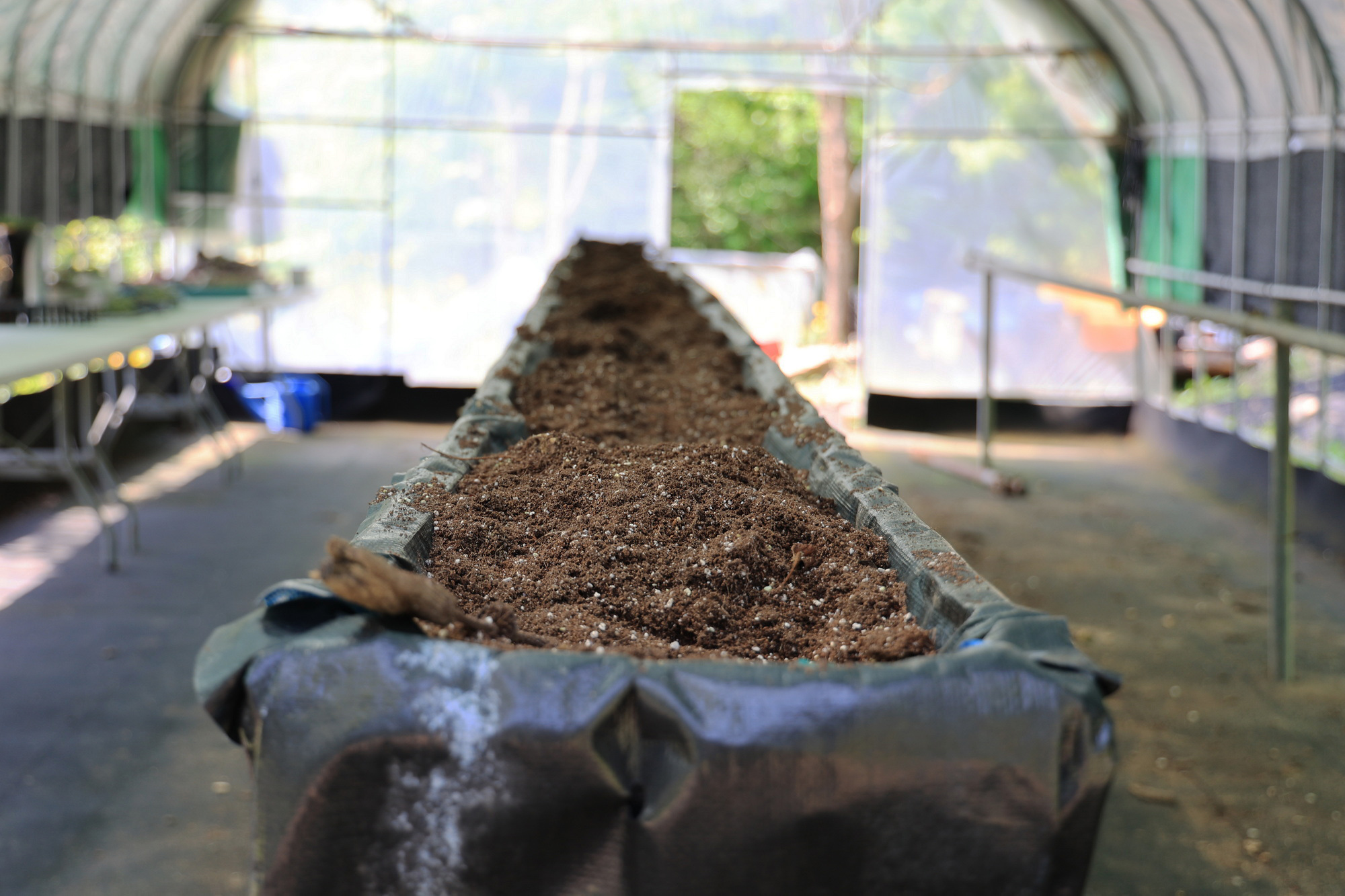 숲에서 놀자 이미지