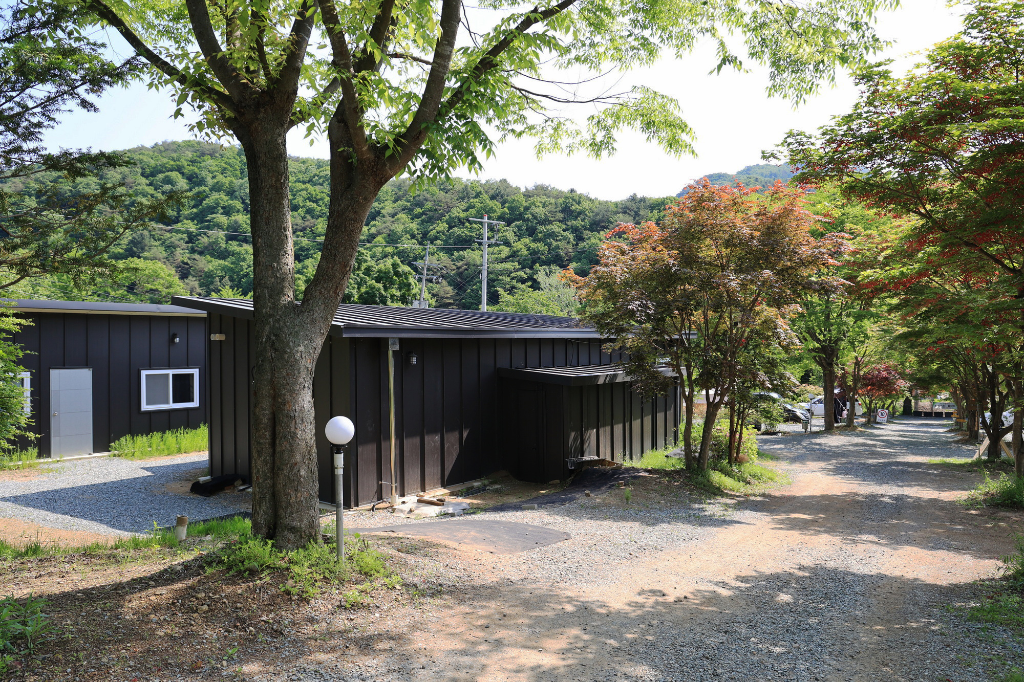 숲에서 놀자 이미지