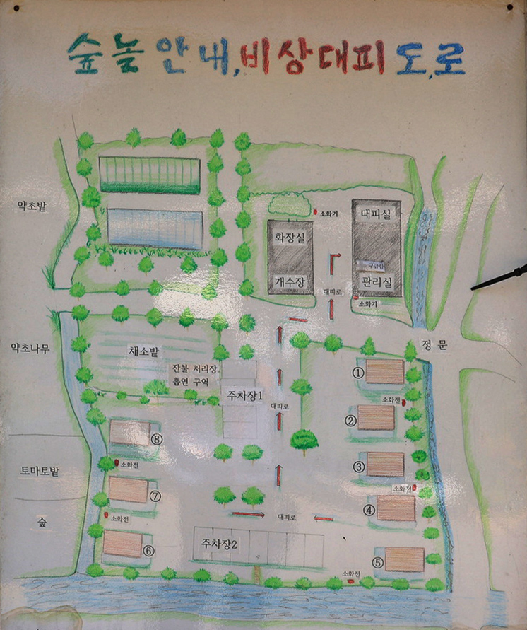 홍천 숲에서 놀자 2