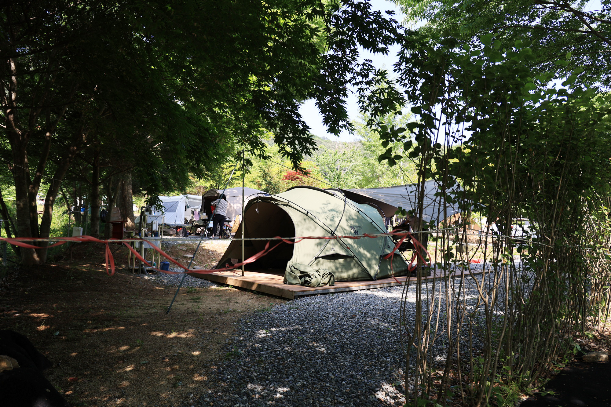 숲에서 놀자 이미지